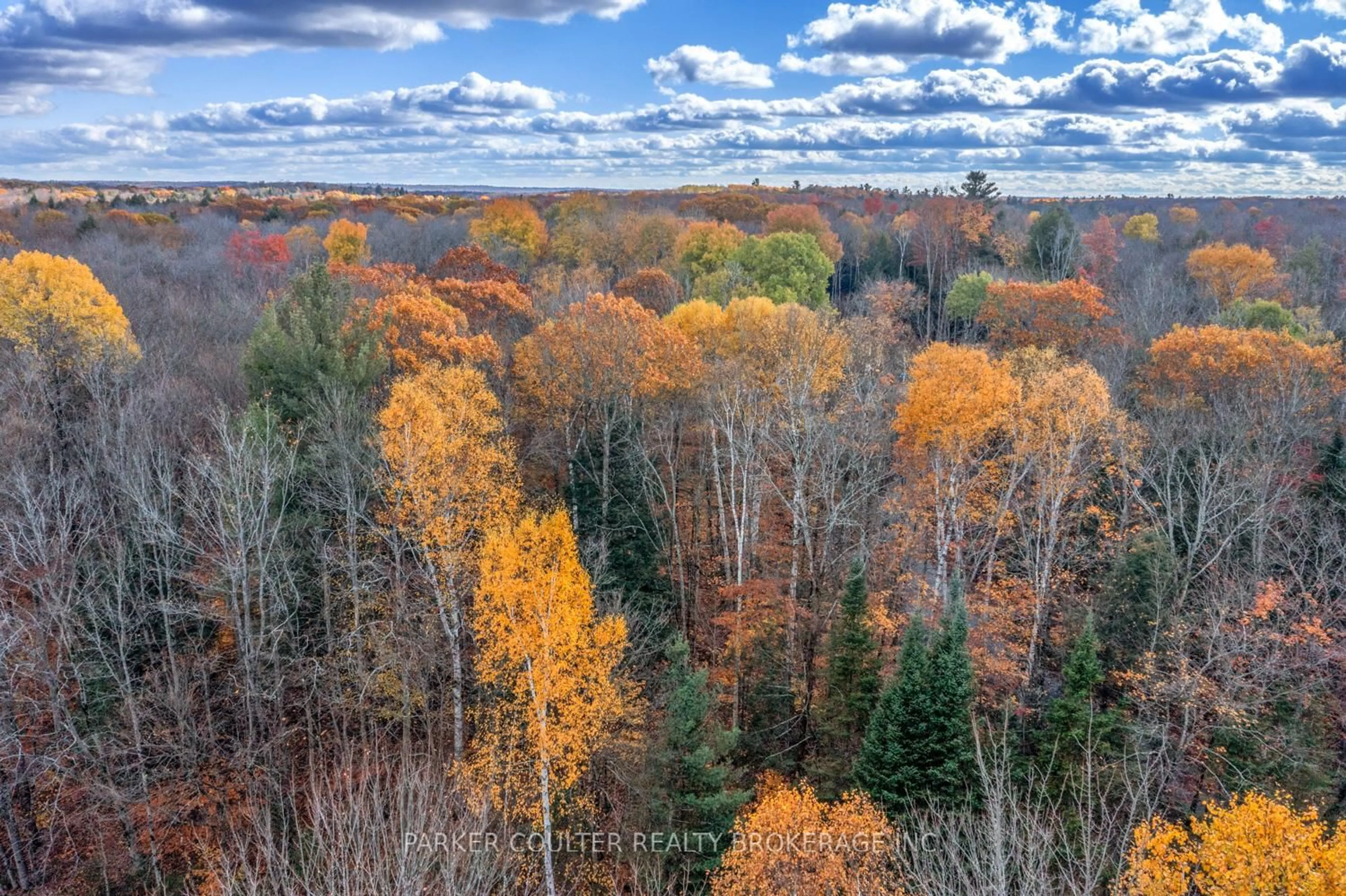 A pic from outside/outdoor area/front of a property/back of a property/a pic from drone, forest/trees view for 561 White House Rd, Huntsville Ontario P1H 2J3