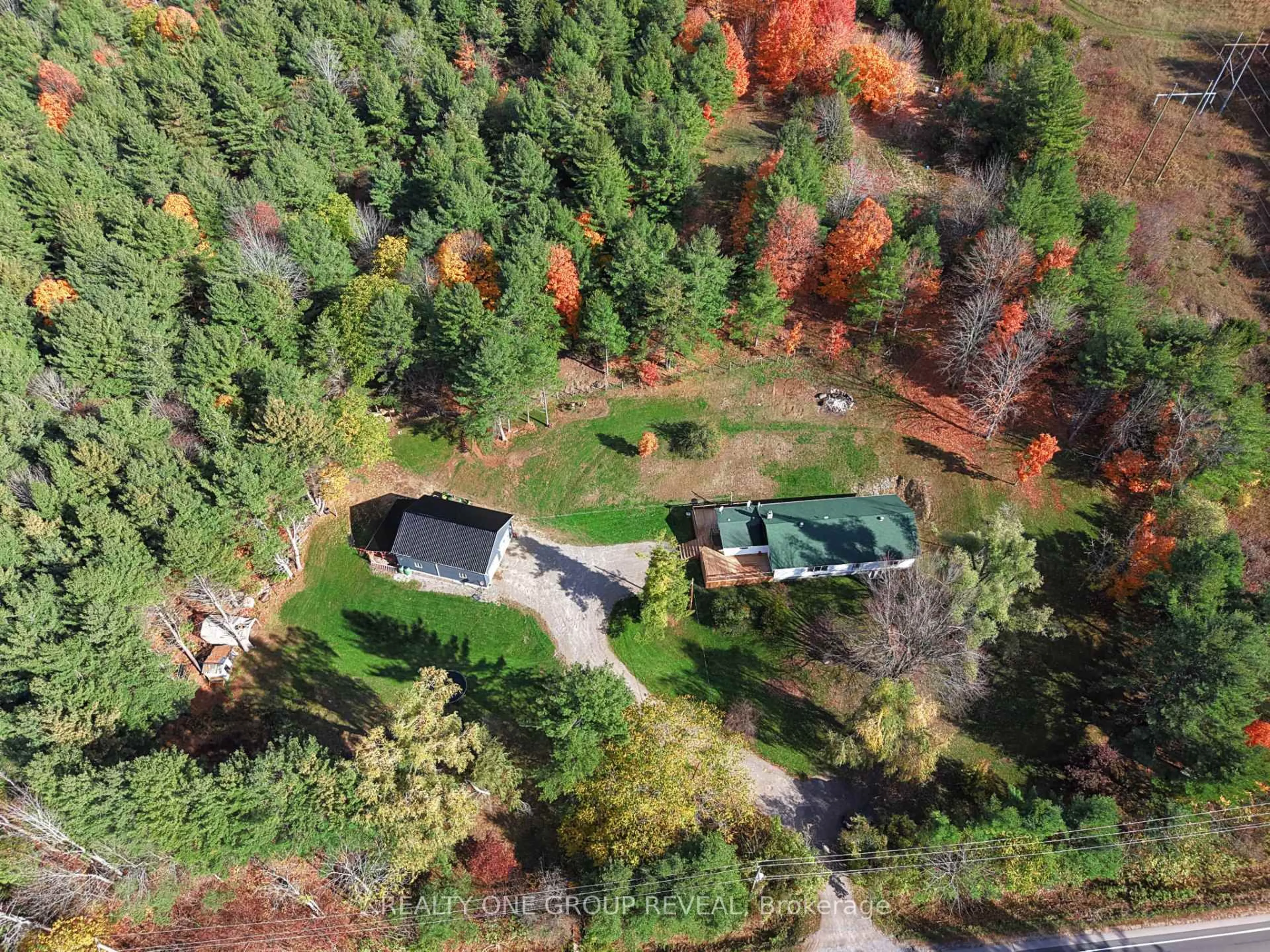 A pic from outside/outdoor area/front of a property/back of a property/a pic from drone, forest/trees view for 1179 County 23 Rd, Alnwick/Haldimand Ontario K0K 2G0