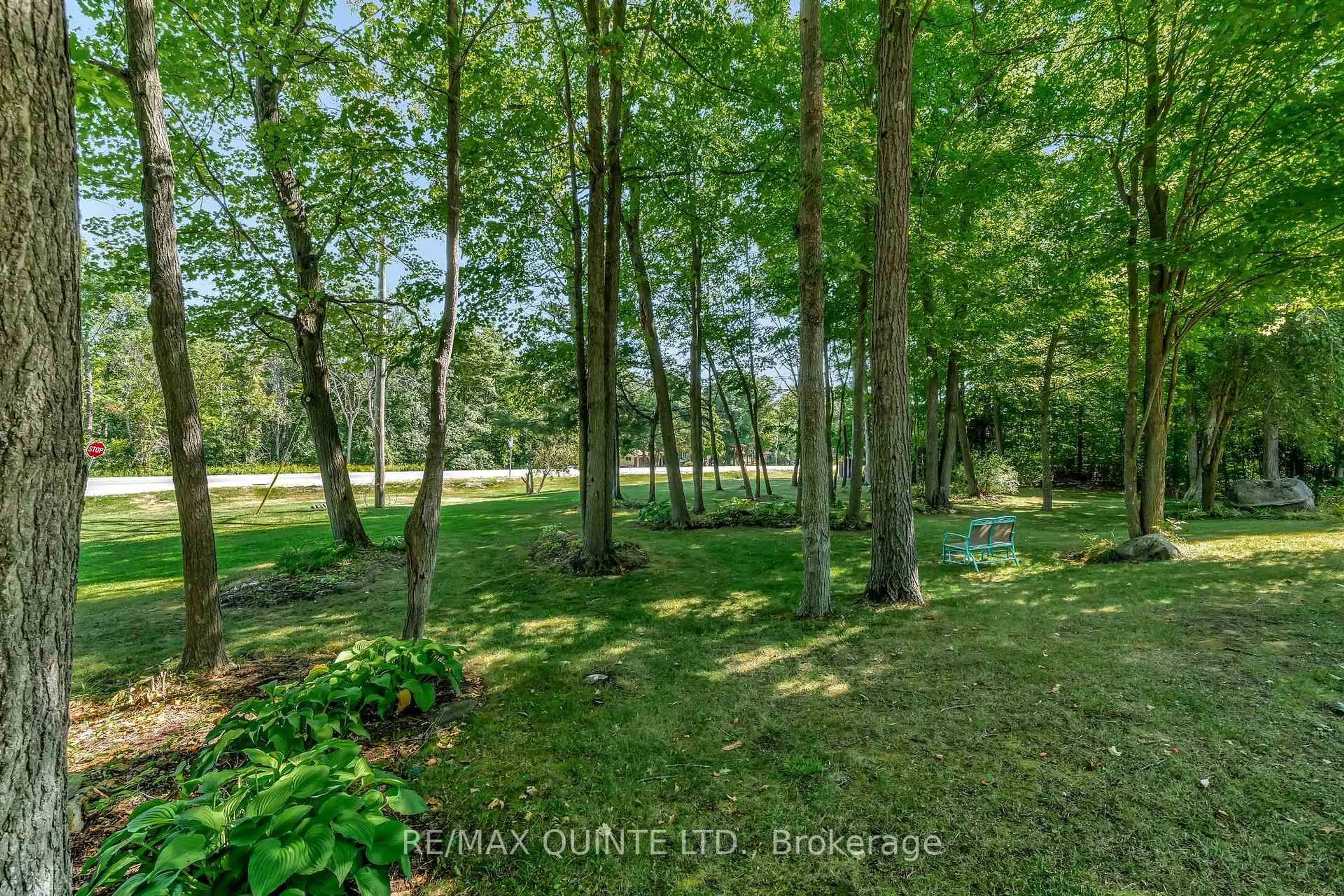 A pic from outside/outdoor area/front of a property/back of a property/a pic from drone, forest/trees view for 291 Colonial Dr, Ingleside Ontario K8V 5P4