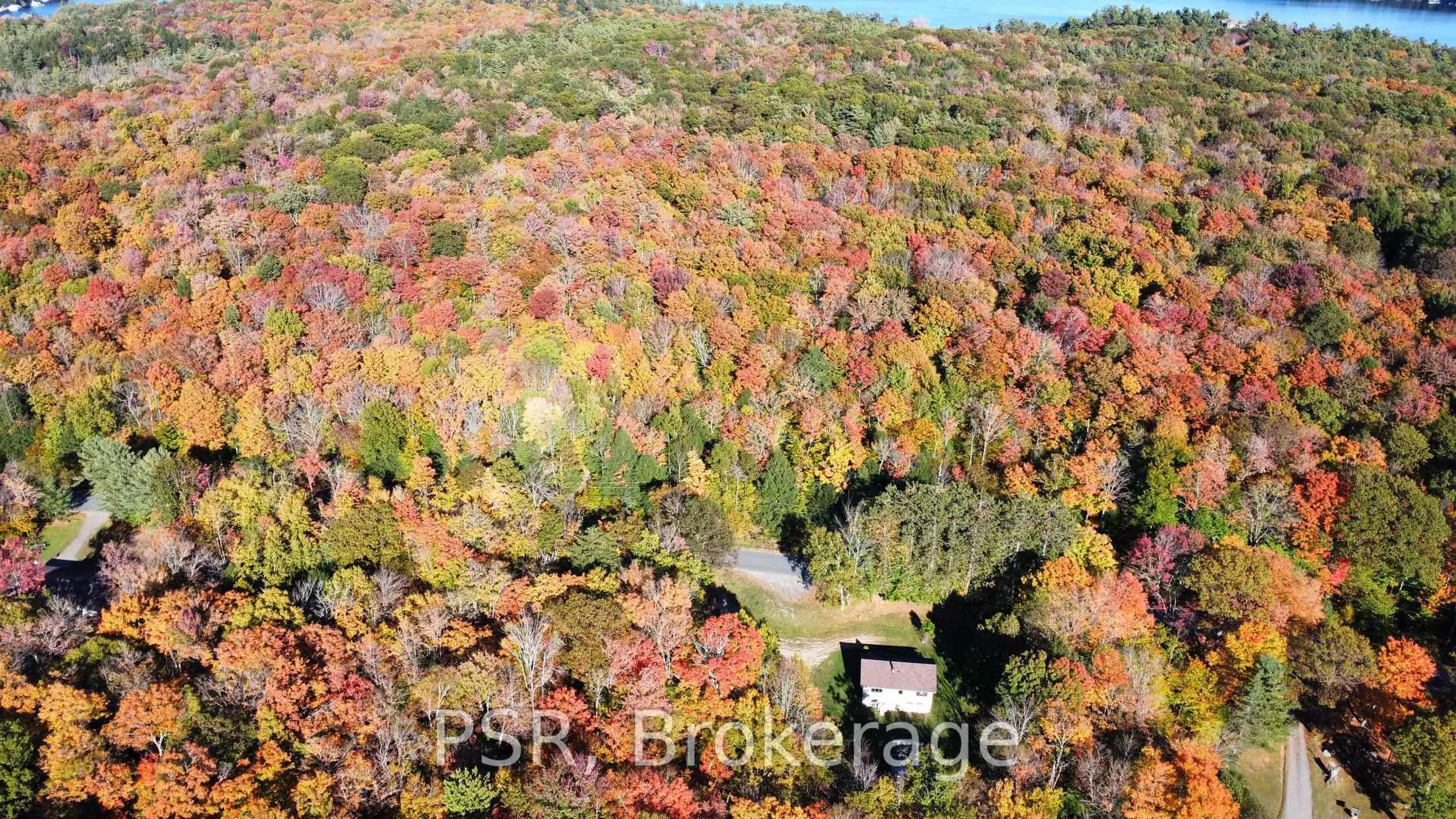 A pic from outside/outdoor area/front of a property/back of a property/a pic from drone, forest/trees view for 1094 Morinus Rd, Muskoka Lakes Ontario P0B 1J0