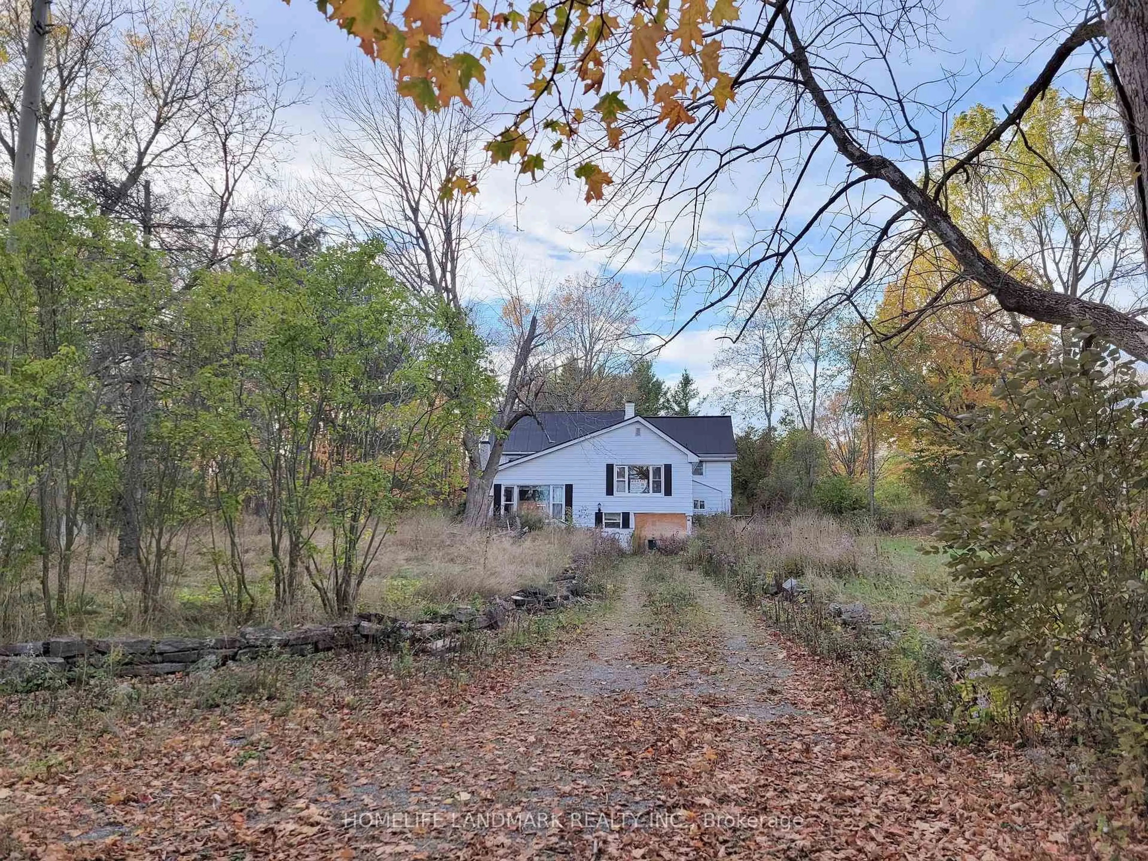 A pic from outside/outdoor area/front of a property/back of a property/a pic from drone, forest/trees view for 4209 Bath Rd, Kingston Ontario K7M 4Y8