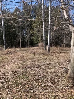 history photo preview