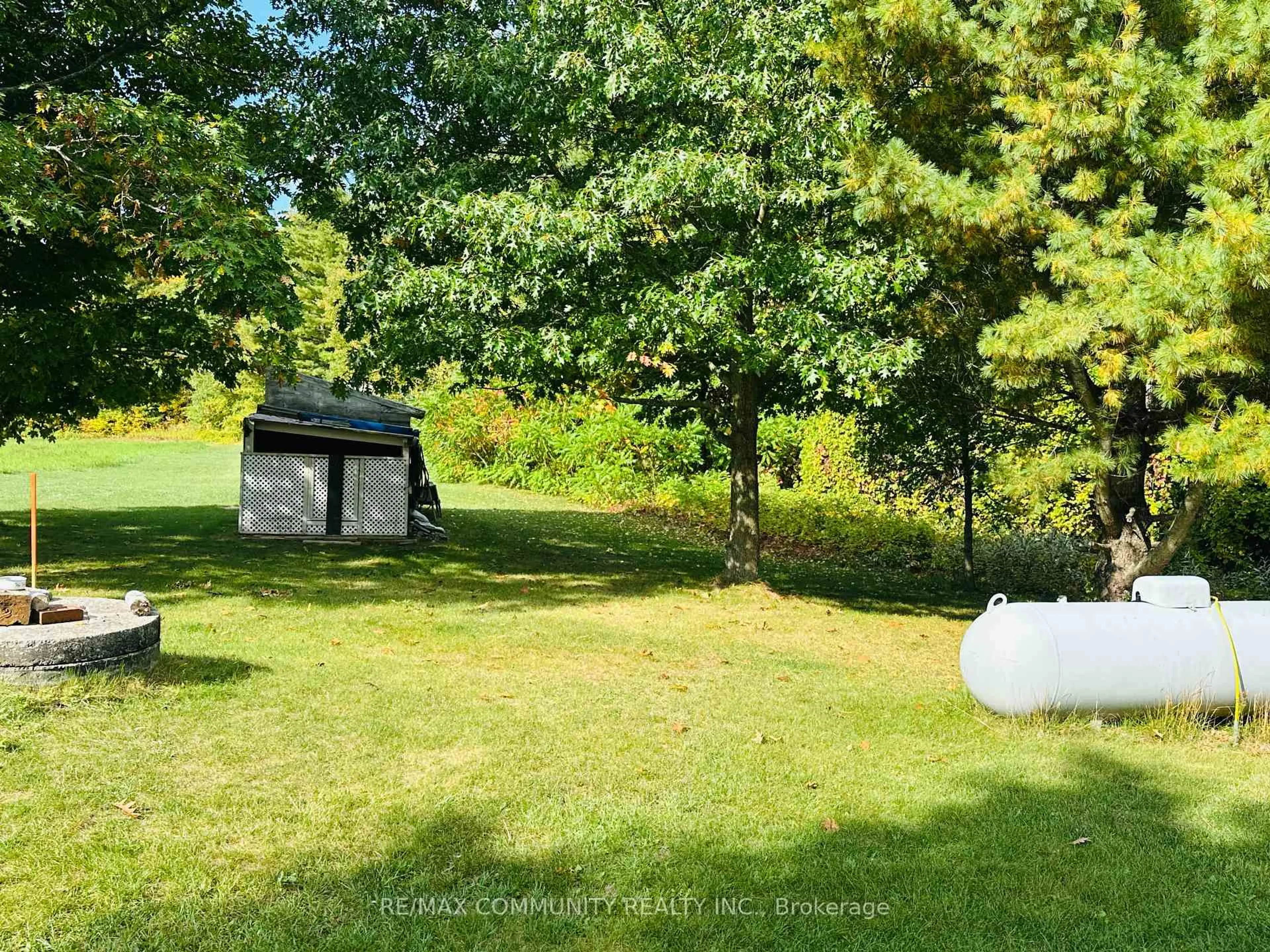 A pic from outside/outdoor area/front of a property/back of a property/a pic from drone, forest/trees view for 214 Helyer Rd, Ingleside Ontario K8V 5P4