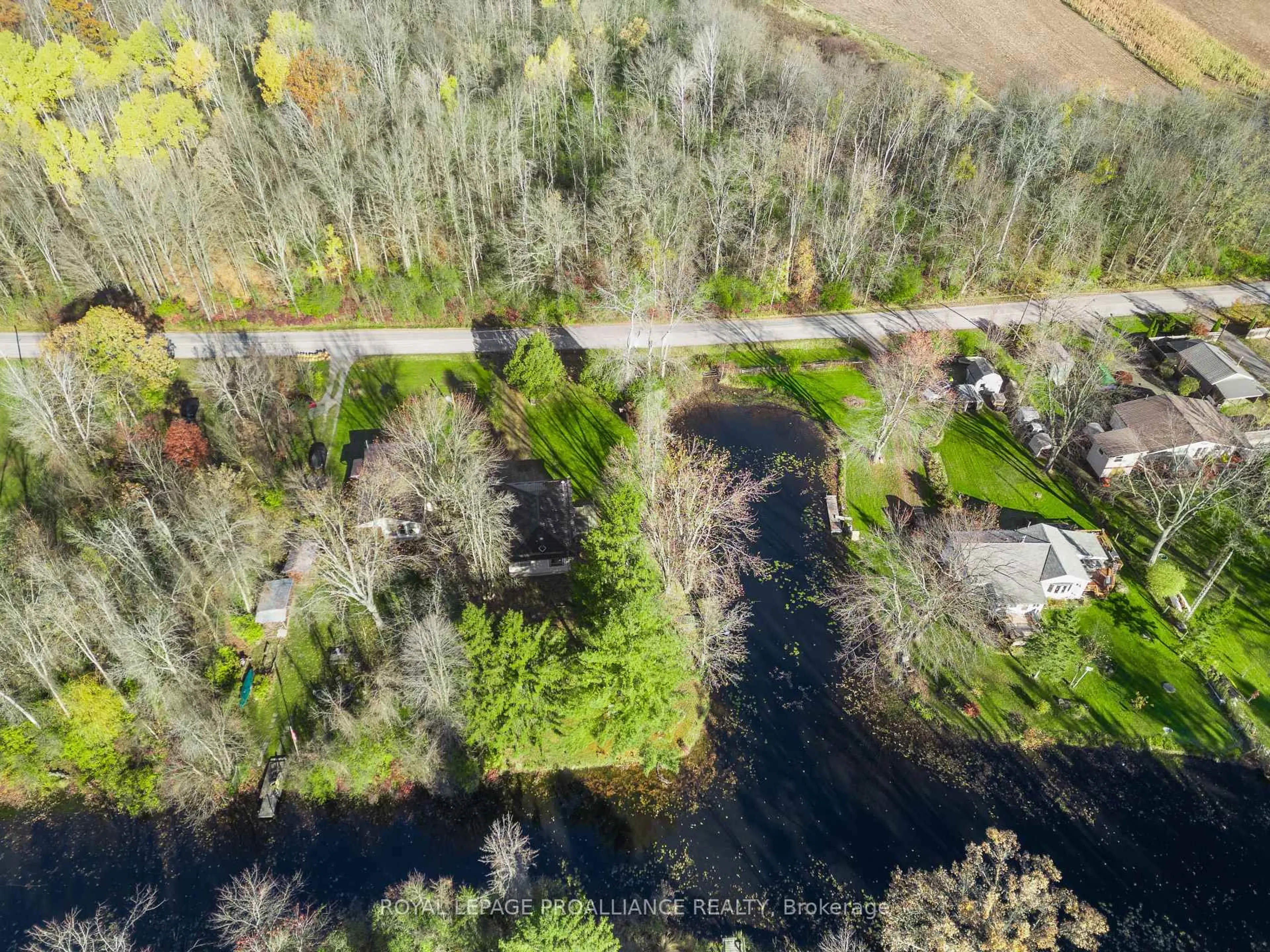 A pic from outside/outdoor area/front of a property/back of a property/a pic from drone, forest/trees view for 2095 2nd Line, Trent Hills Ontario K0L 1L0