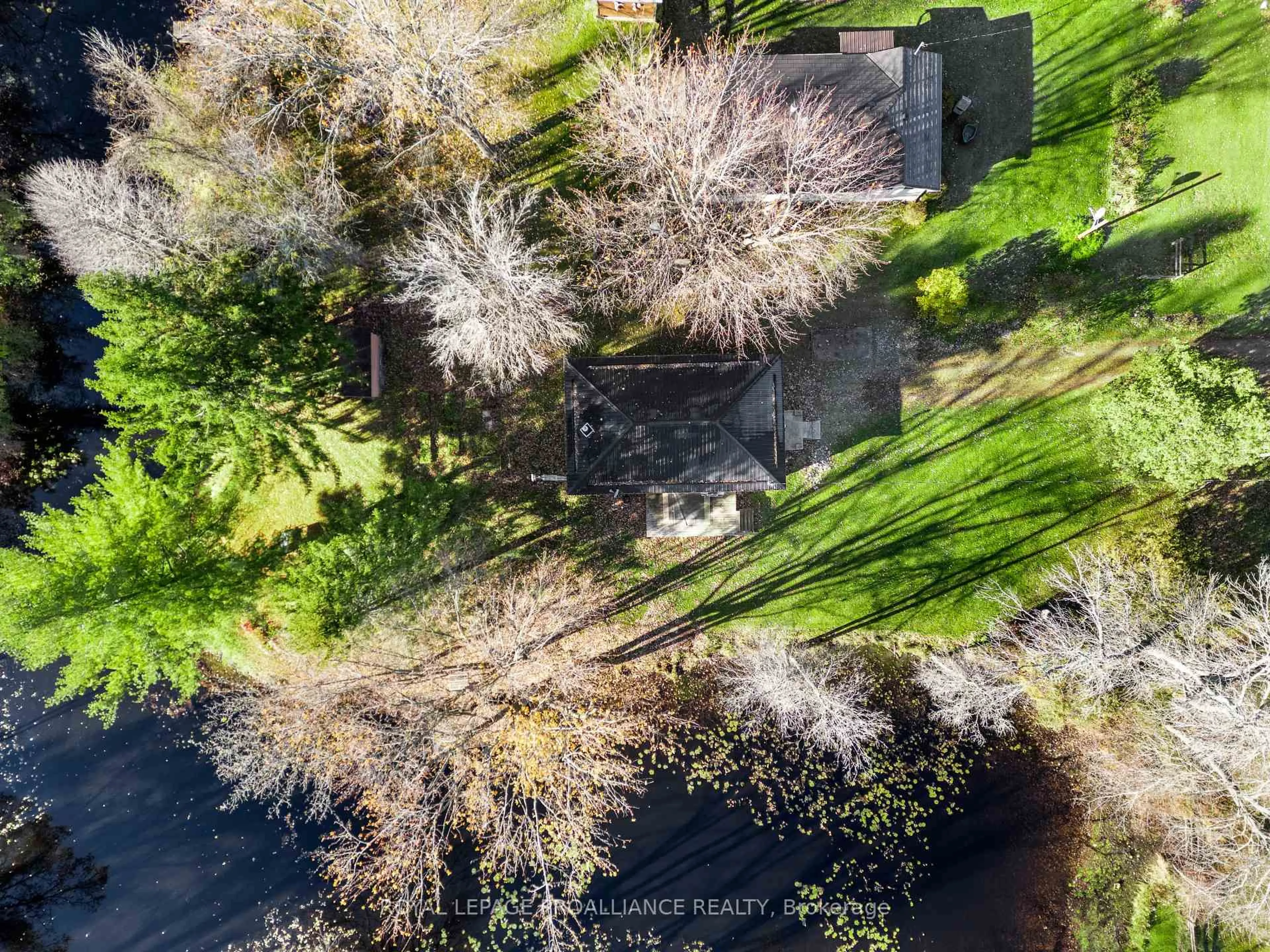 A pic from outside/outdoor area/front of a property/back of a property/a pic from drone, forest/trees view for 2095 2nd Line, Trent Hills Ontario K0L 1L0
