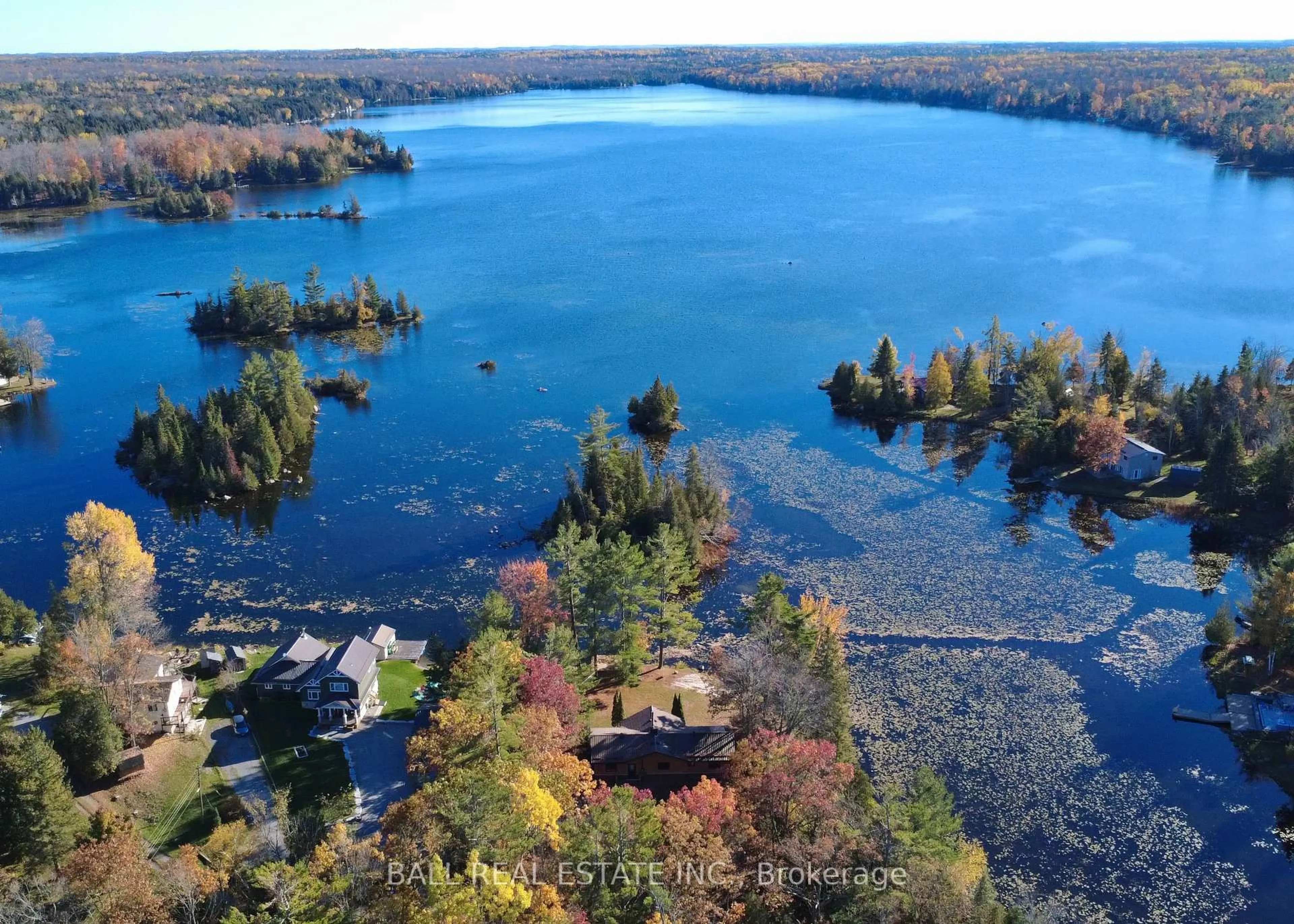 A pic from outside/outdoor area/front of a property/back of a property/a pic from drone, water/lake/river/ocean view for 2149 Little Chipmunk Rd, Douro-Dummer Ontario K0L 2H0