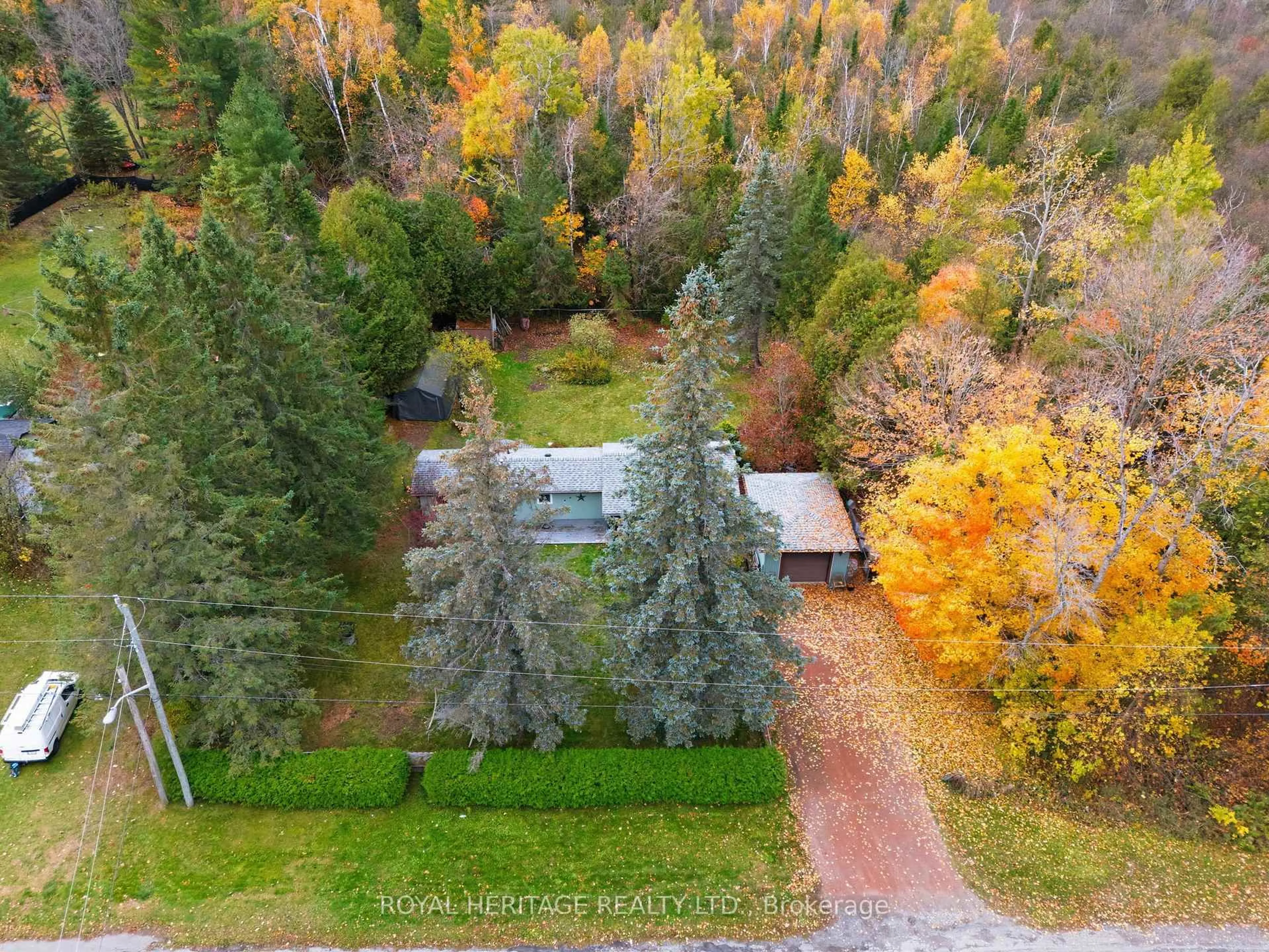 A pic from outside/outdoor area/front of a property/back of a property/a pic from drone, forest/trees view for 105 Glengarry Rd, Kawartha Lakes Ontario L0A 1A0