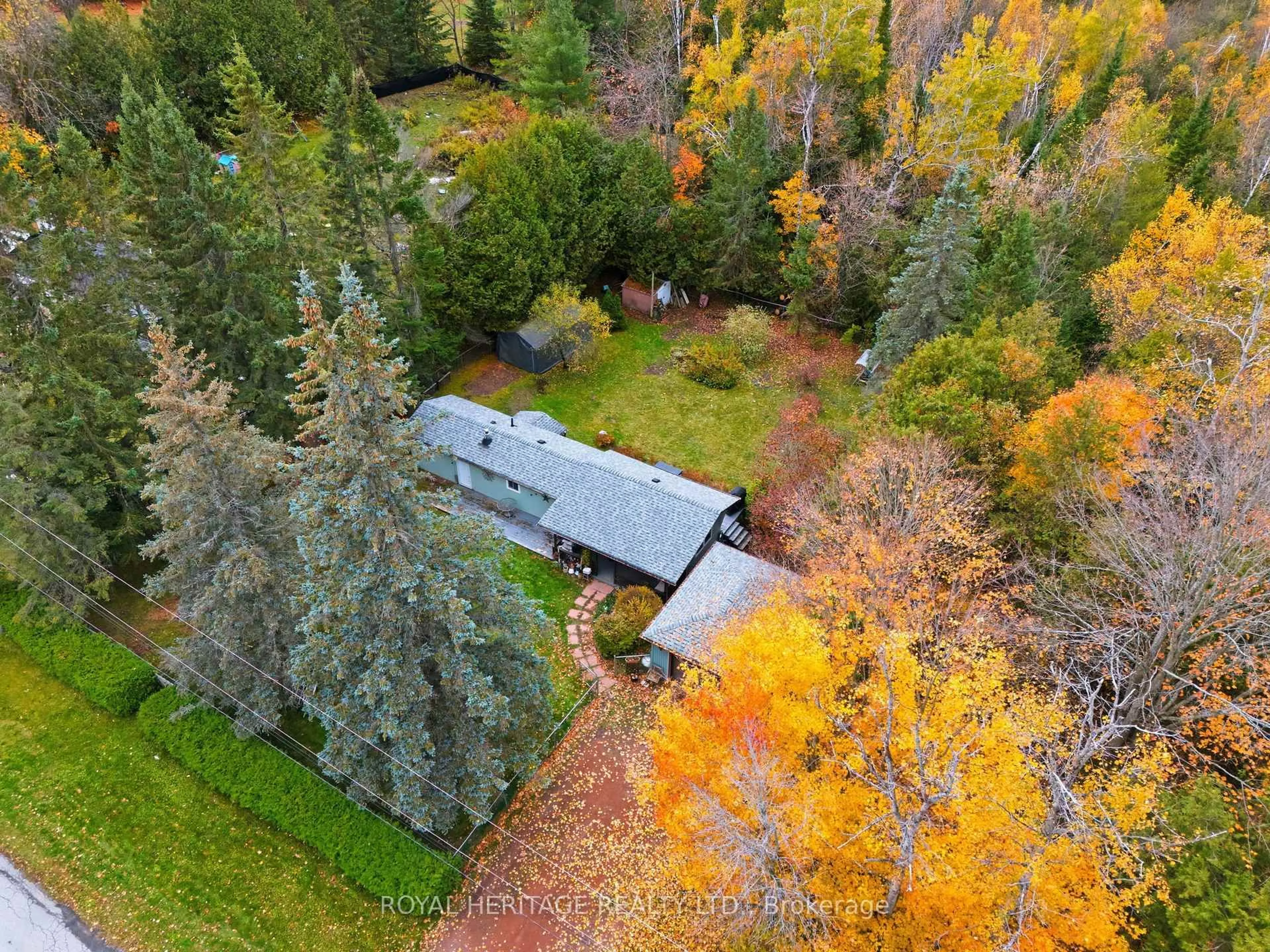 A pic from outside/outdoor area/front of a property/back of a property/a pic from drone, forest/trees view for 105 Glengarry Rd, Kawartha Lakes Ontario L0A 1A0