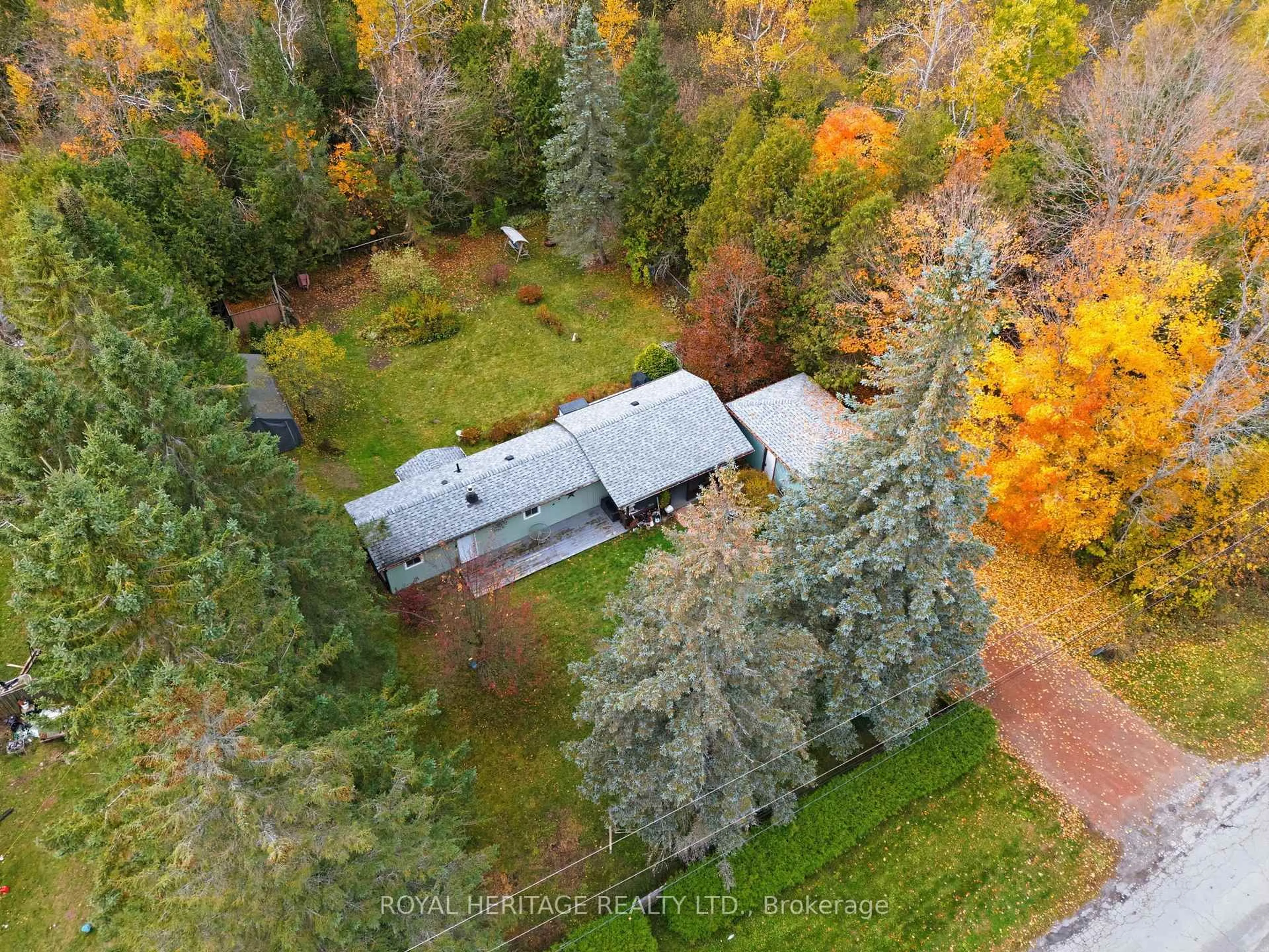 A pic from outside/outdoor area/front of a property/back of a property/a pic from drone, forest/trees view for 105 Glengarry Rd, Kawartha Lakes Ontario L0A 1A0