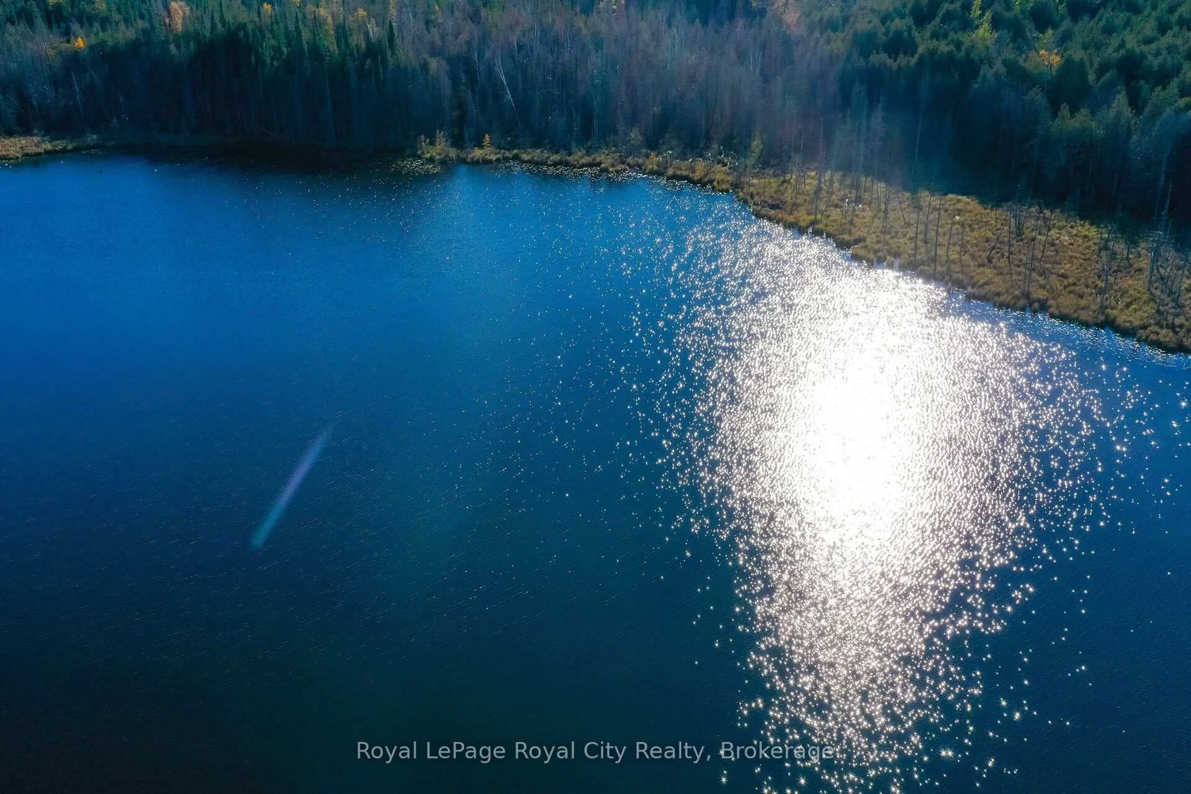 Blurry image for 6361 16th Line, Minto Ontario N0G 1M0