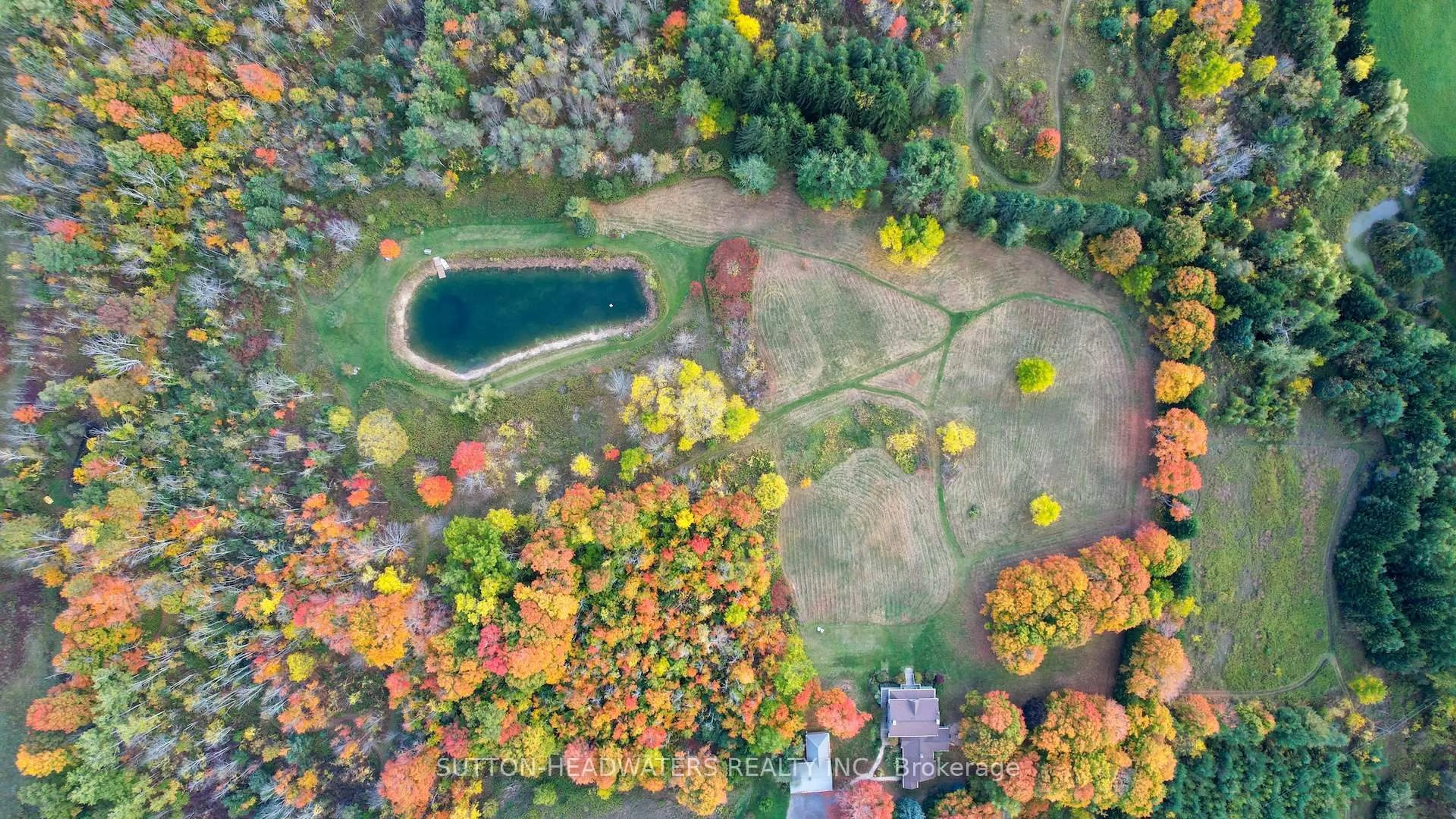A pic from outside/outdoor area/front of a property/back of a property/a pic from drone, forest/trees view for 240 Leach Rd, Alnwick/Haldimand Ontario K0K 2X0