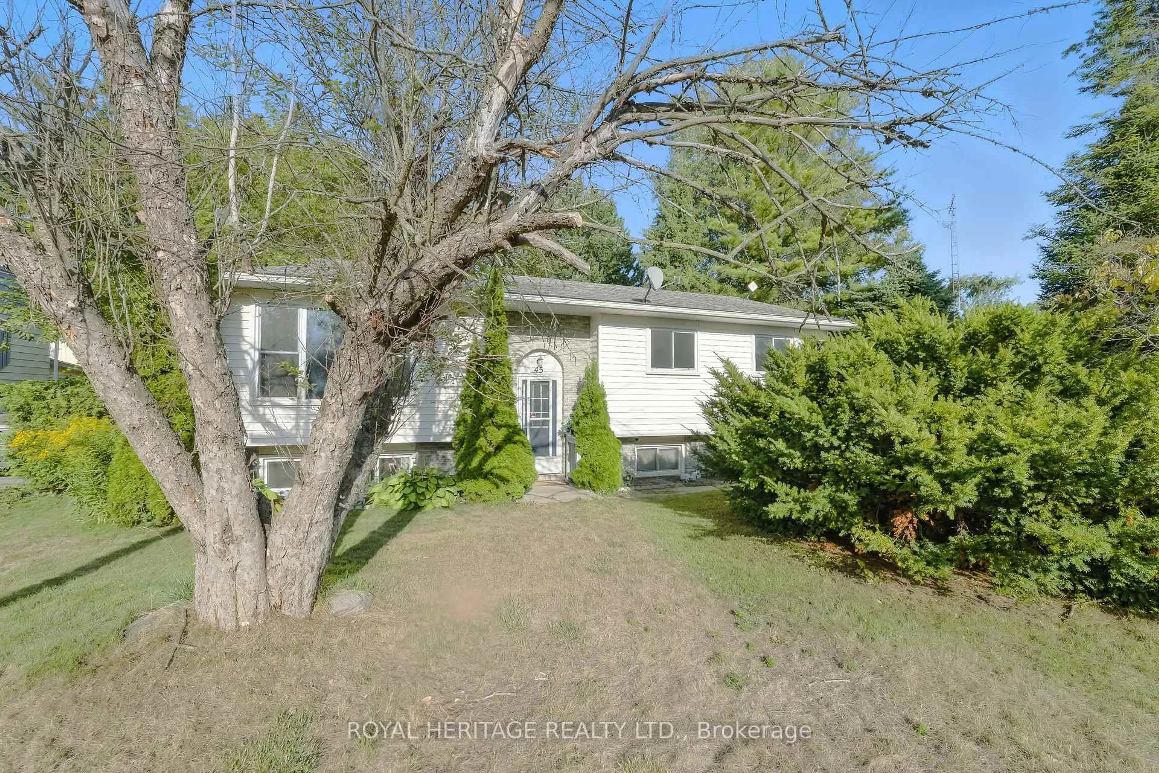 A pic from outside/outdoor area/front of a property/back of a property/a pic from drone, street for 45 Maplewood Ave, Brighton Ontario K0K 1H0