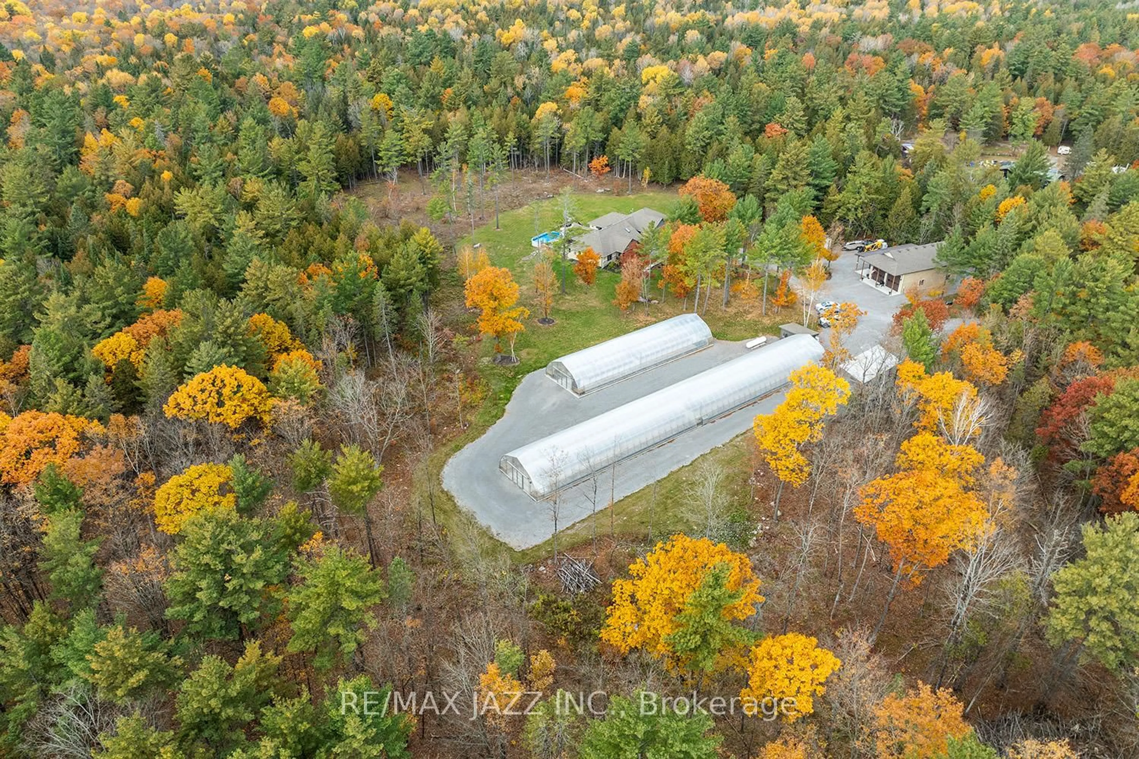 A pic from outside/outdoor area/front of a property/back of a property/a pic from drone, forest/trees view for 19 Ledge Rd, Trent Lakes Ontario K0M 1A0