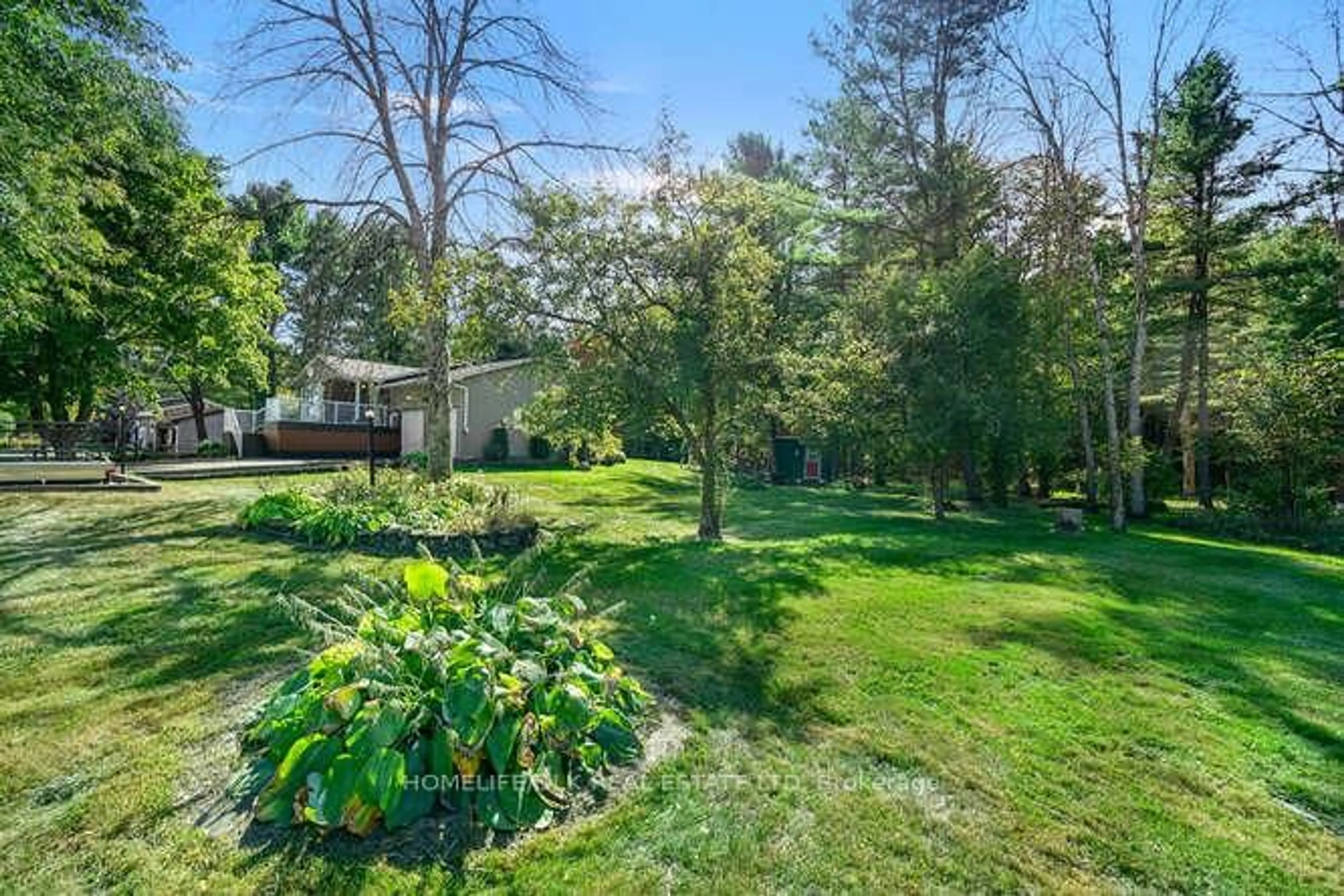 A pic from outside/outdoor area/front of a property/back of a property/a pic from drone, forest/trees view for 224 County Rd 5 Rd, Front of Yonge Ontario K0E 1R0