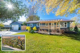 history photo preview