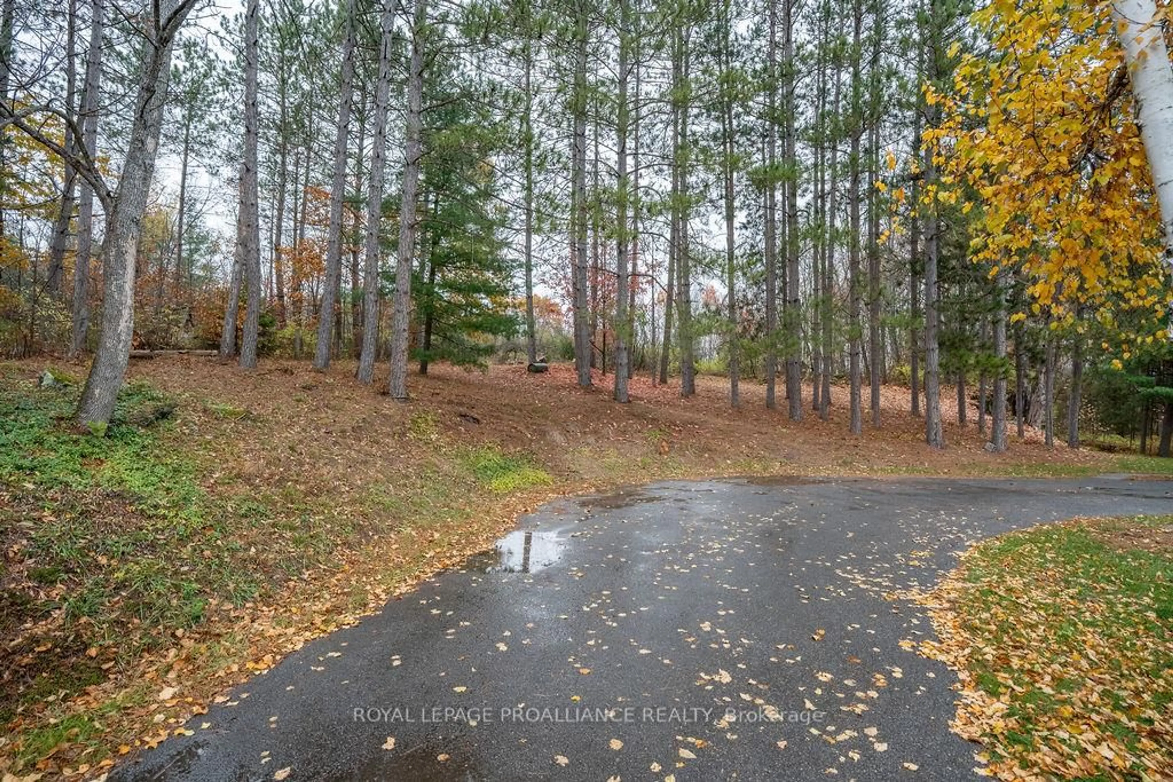 A pic from outside/outdoor area/front of a property/back of a property/a pic from drone, forest/trees view for 37 McCrea Crt, Tweed Ontario K0K 3J0