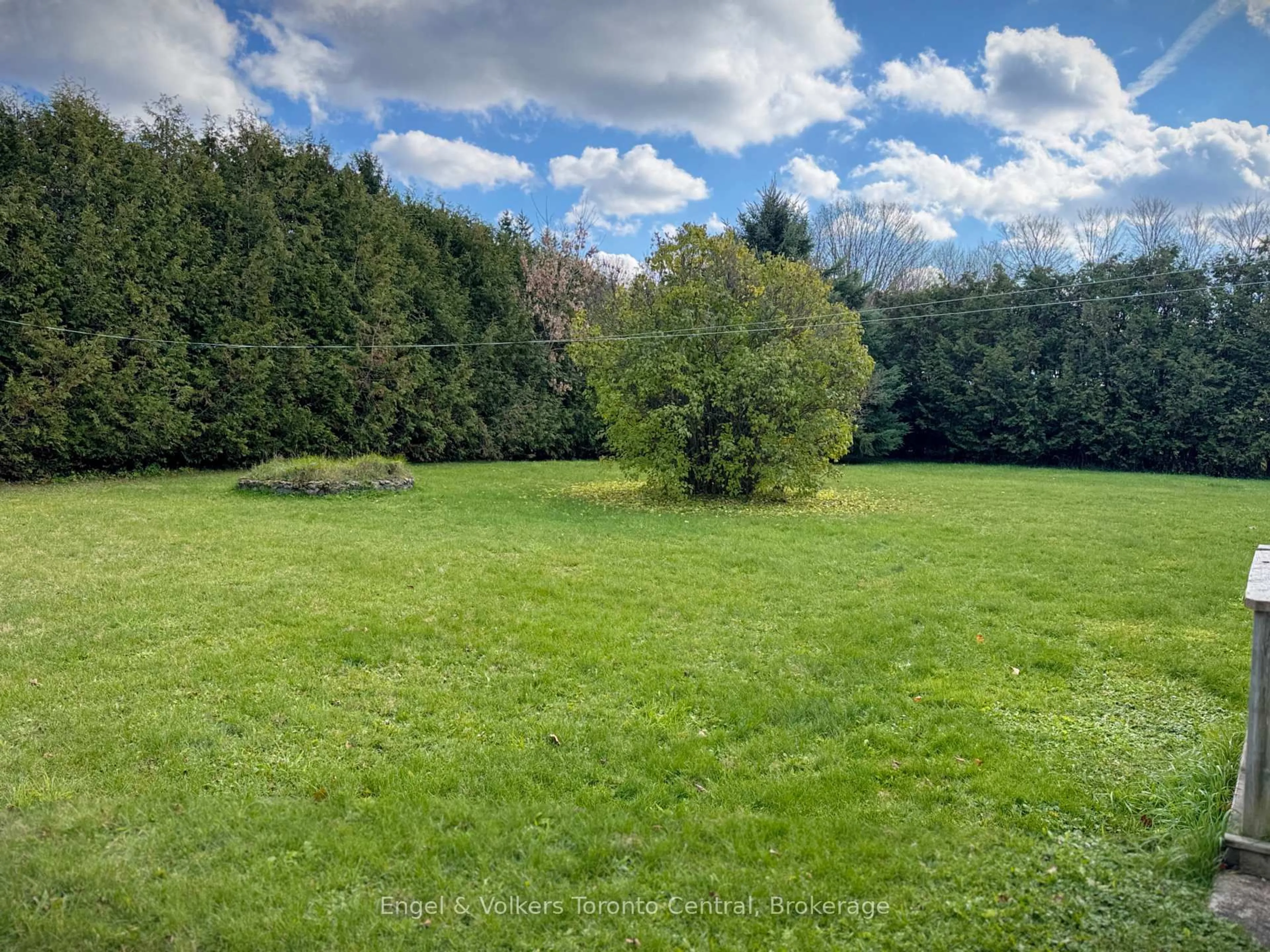 A pic from outside/outdoor area/front of a property/back of a property/a pic from drone, forest/trees view for 209 Evans St, Grey Highlands Ontario N0C 1E0
