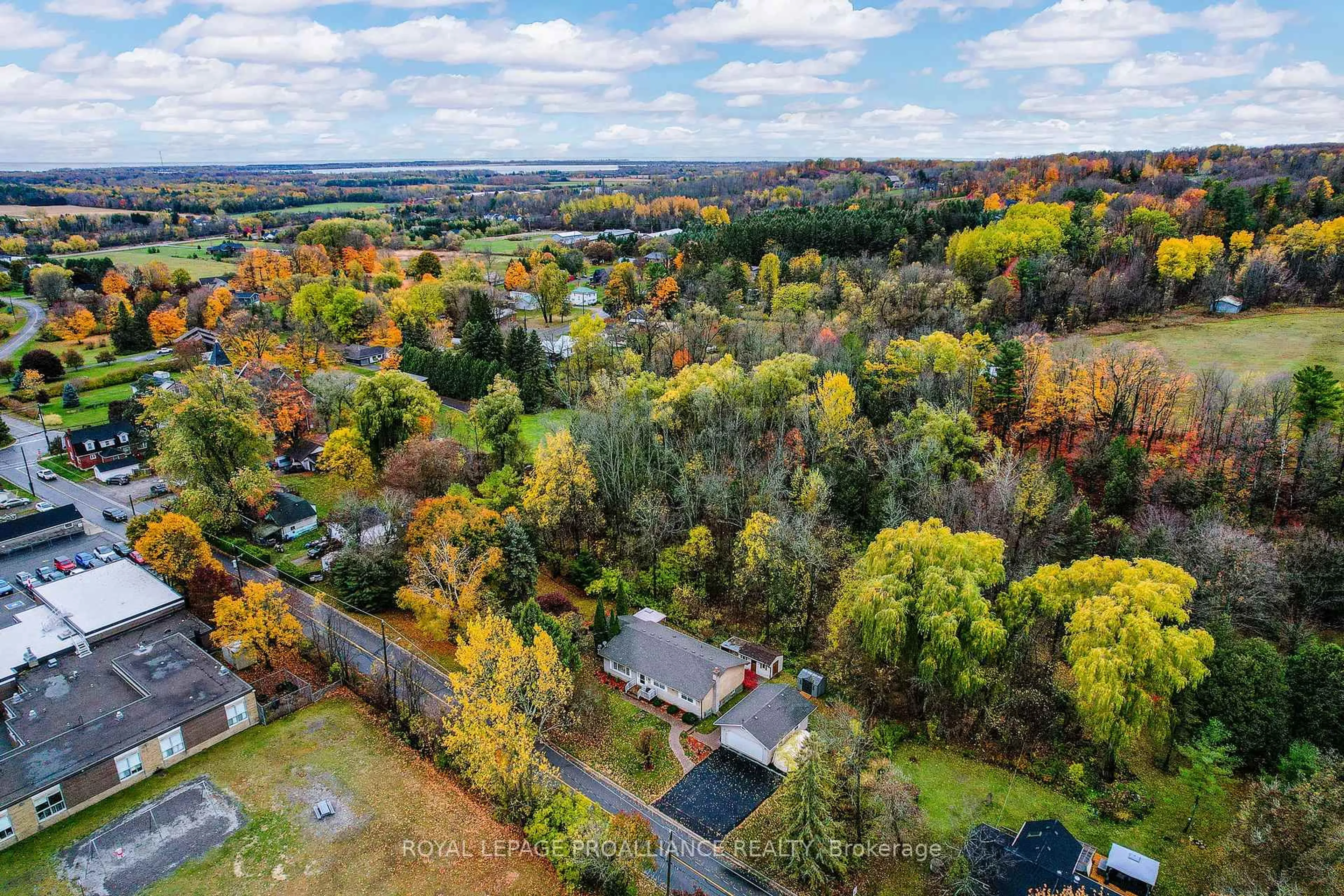 A pic from outside/outdoor area/front of a property/back of a property/a pic from drone, forest/trees view for 260 Drewery St, Brighton Ontario K0K 1H0