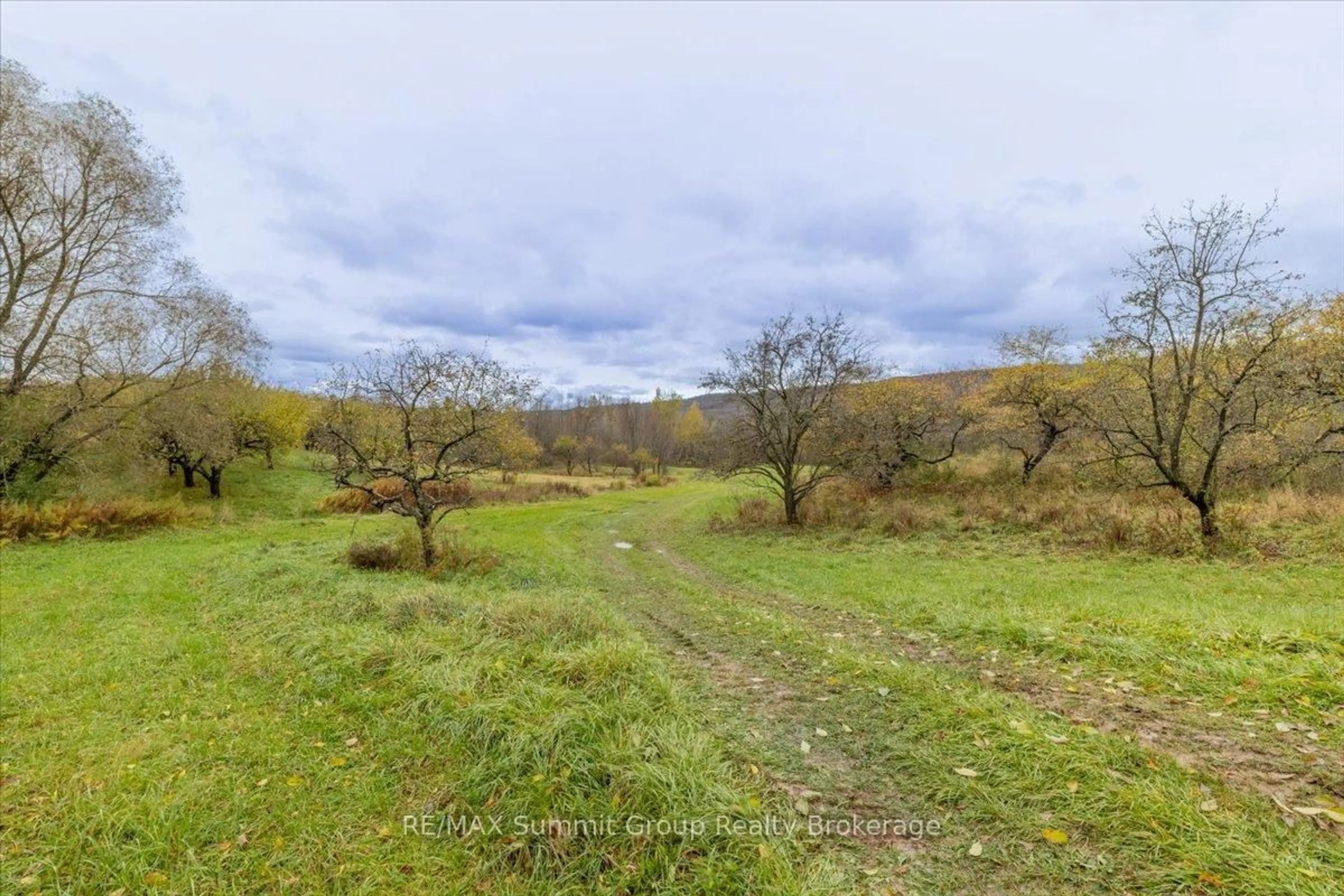 A pic from outside/outdoor area/front of a property/back of a property/a pic from drone, forest/trees view for 235274 Grey Road 13, Grey Highlands Ontario N0C 1G0