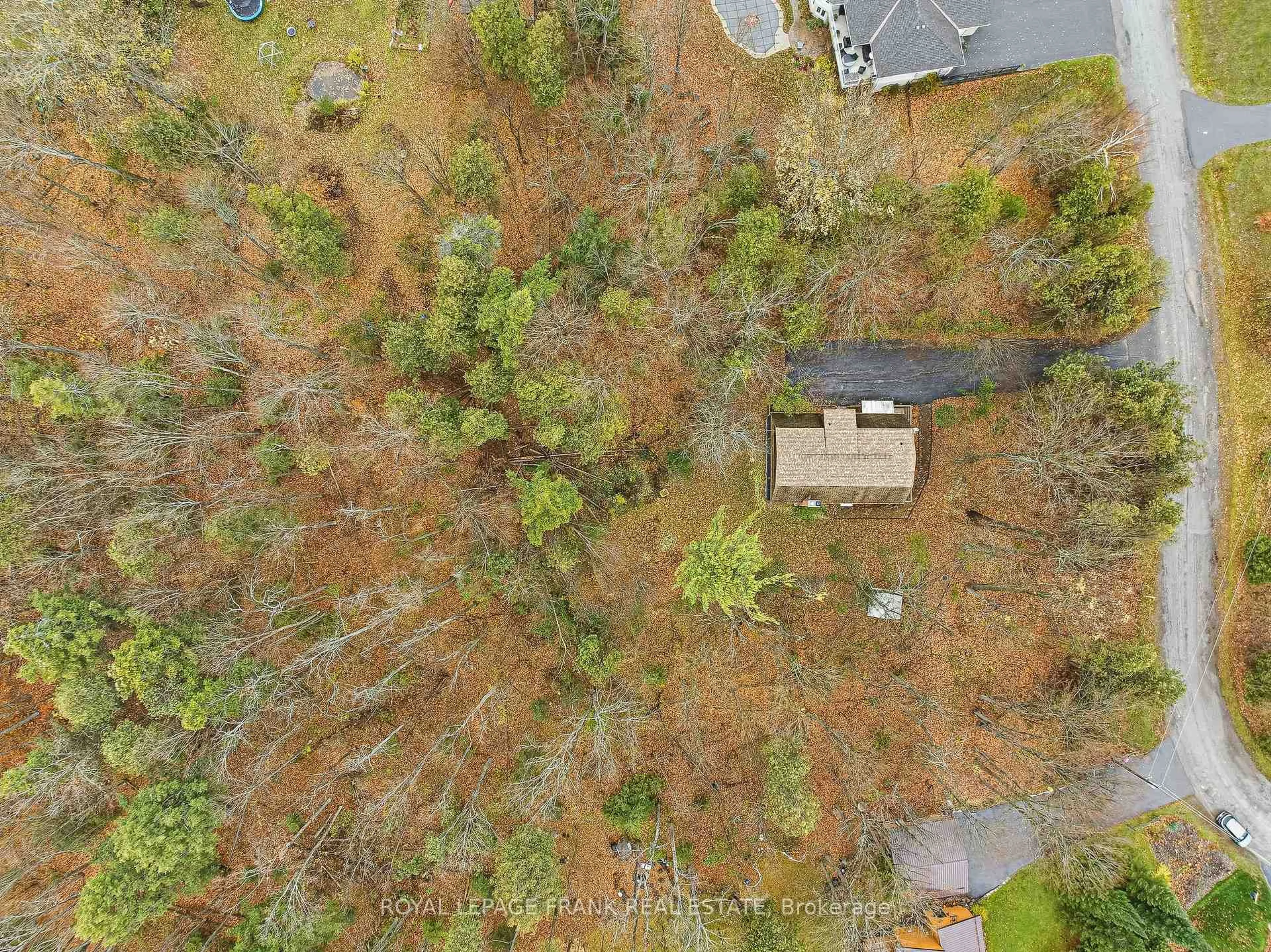 A pic from outside/outdoor area/front of a property/back of a property/a pic from drone, forest/trees view for 23 Trillium Crt, Kawartha Lakes Ontario K0L 2W0