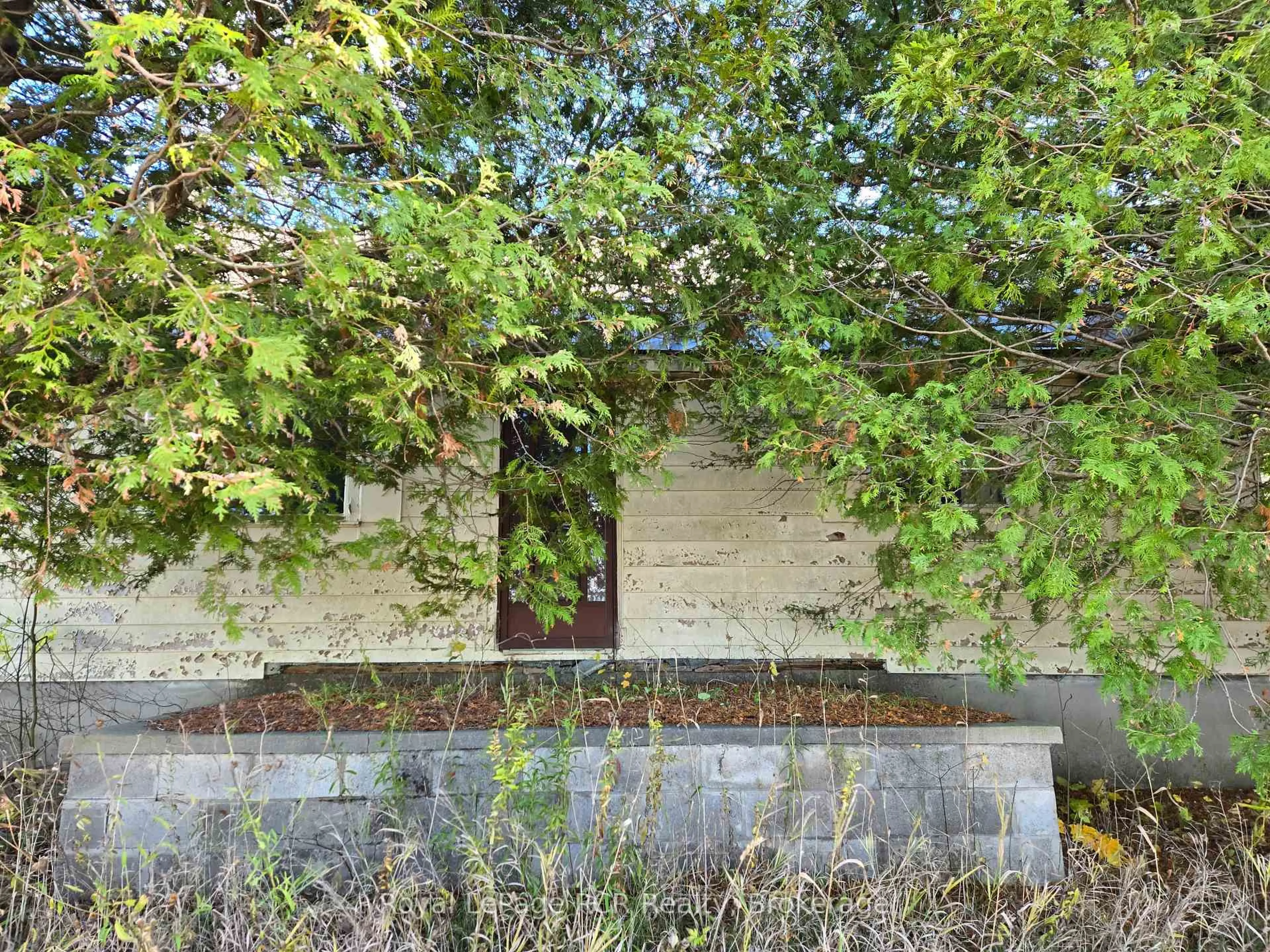 Patio, unknown for 133487 Allan Park Rd, West Grey Ontario N0G 1R0