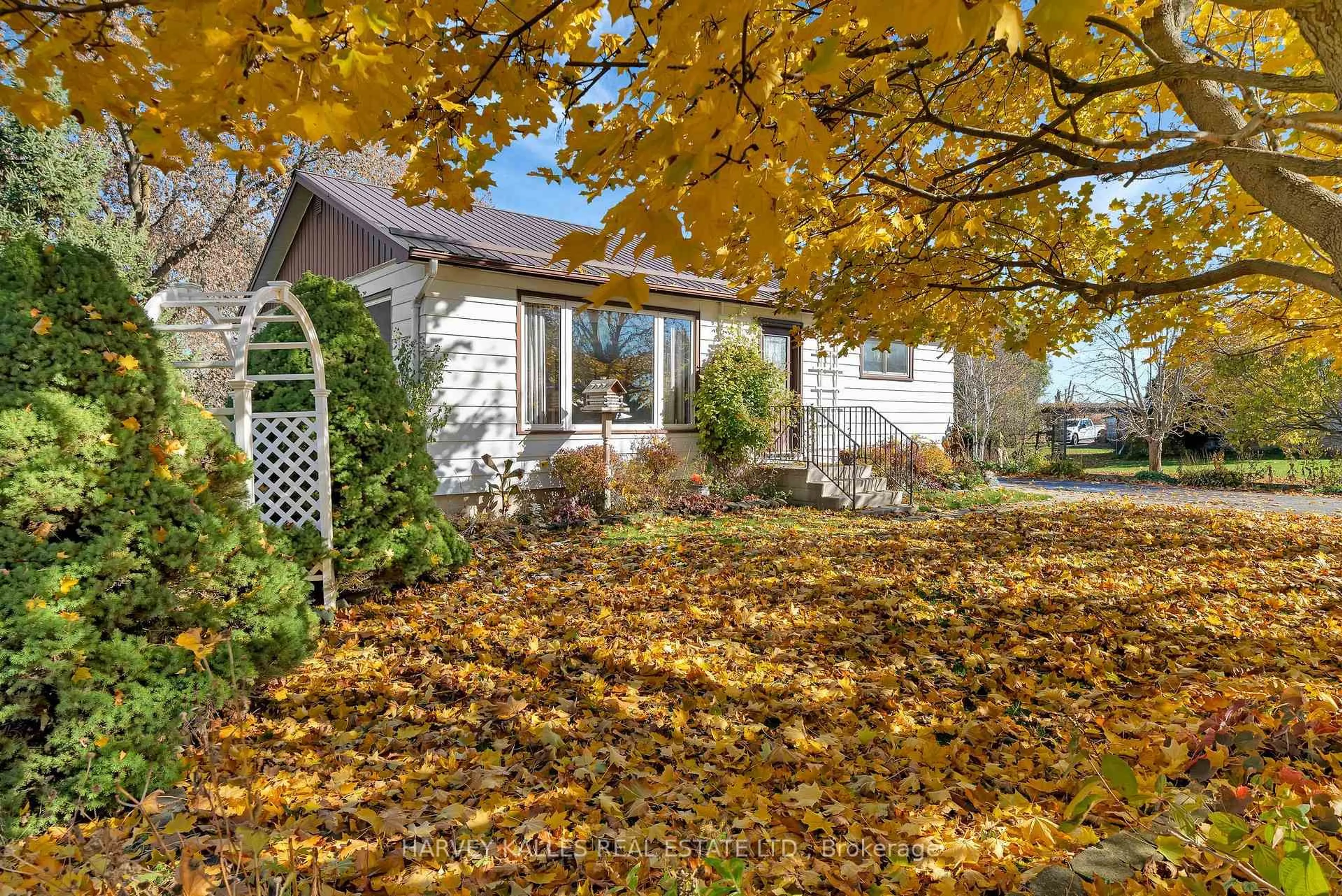 Patio, street for 1075 County Rd 10 Rd, Prince Edward County Ontario K0K 2T0