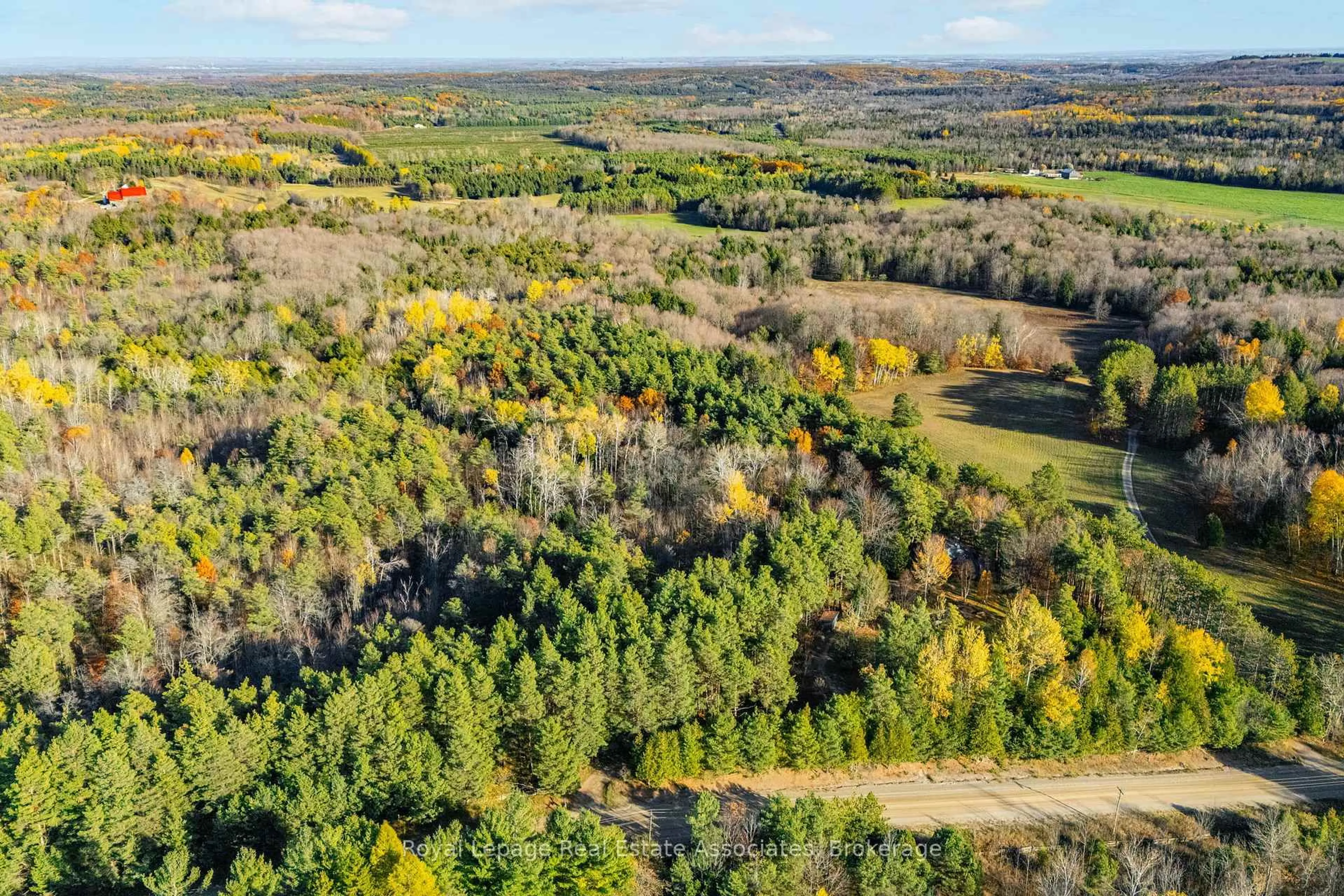 A pic from outside/outdoor area/front of a property/back of a property/a pic from drone, forest/trees view for 758129 2ND Line, Mulmur Ontario L9V 0G8