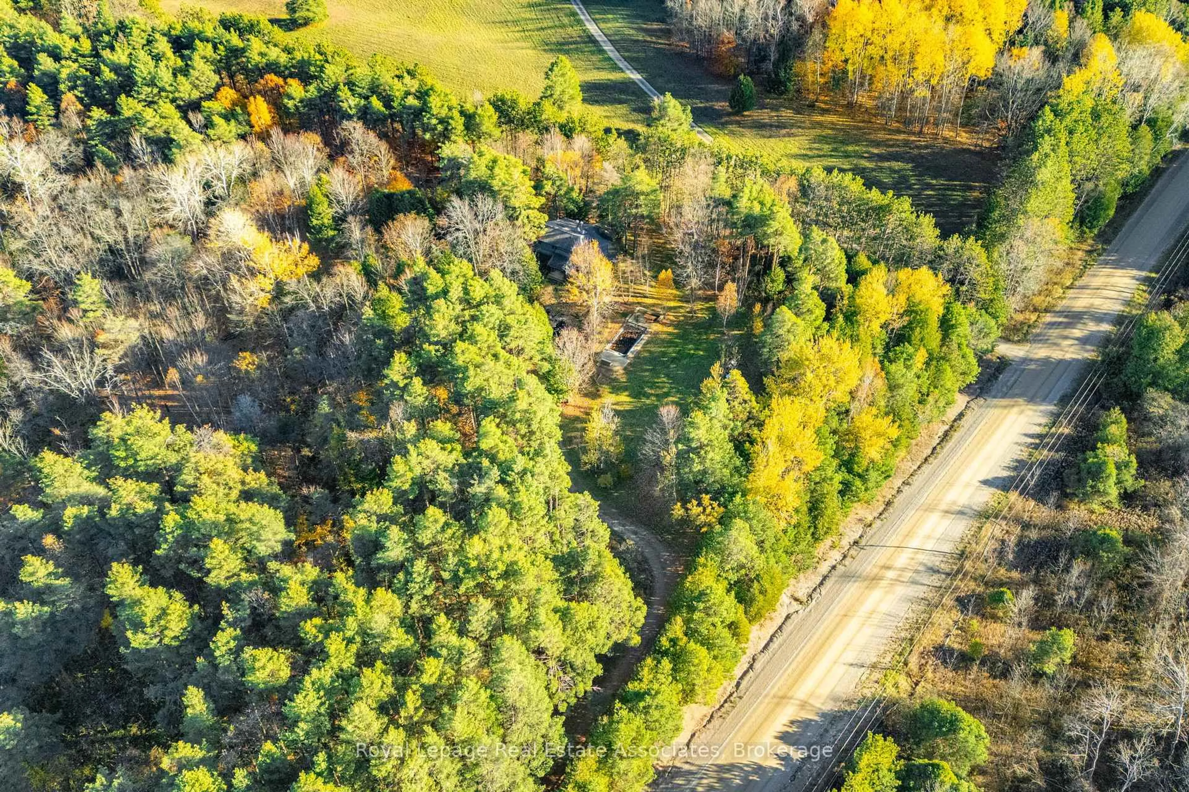 A pic from outside/outdoor area/front of a property/back of a property/a pic from drone, forest/trees view for 758129 2ND Line, Mulmur Ontario L9V 0G8