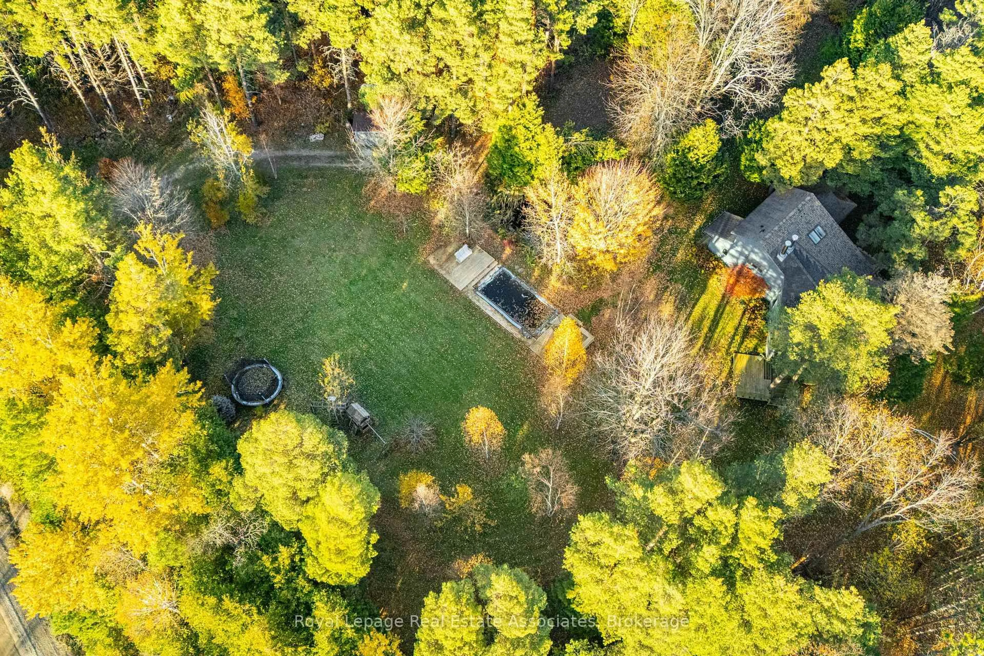 A pic from outside/outdoor area/front of a property/back of a property/a pic from drone, forest/trees view for 758129 2ND Line, Mulmur Ontario L9V 0G8