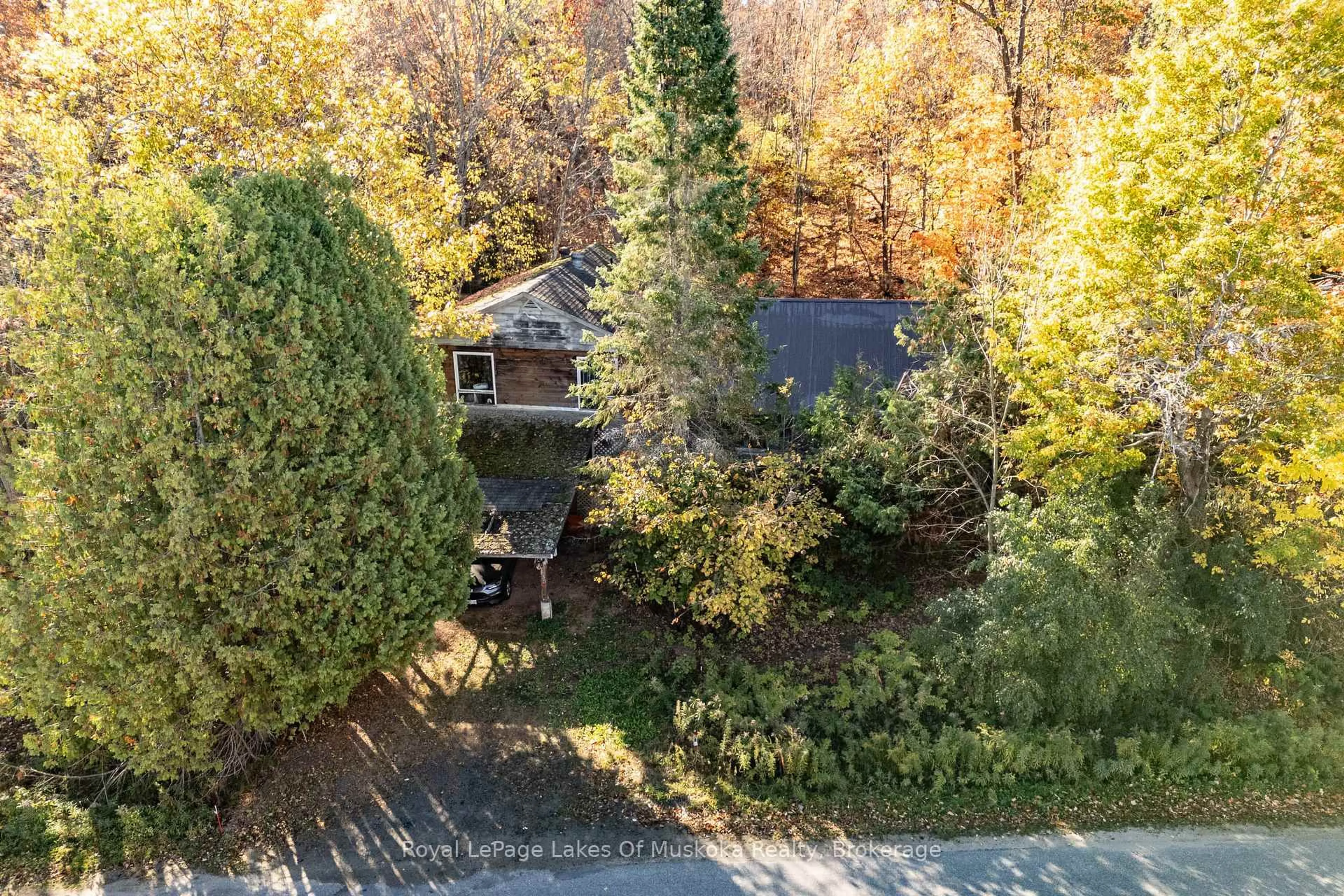 A pic from outside/outdoor area/front of a property/back of a property/a pic from drone, forest/trees view for 135 Musquash Rd, Gravenhurst Ontario P1P 0E3