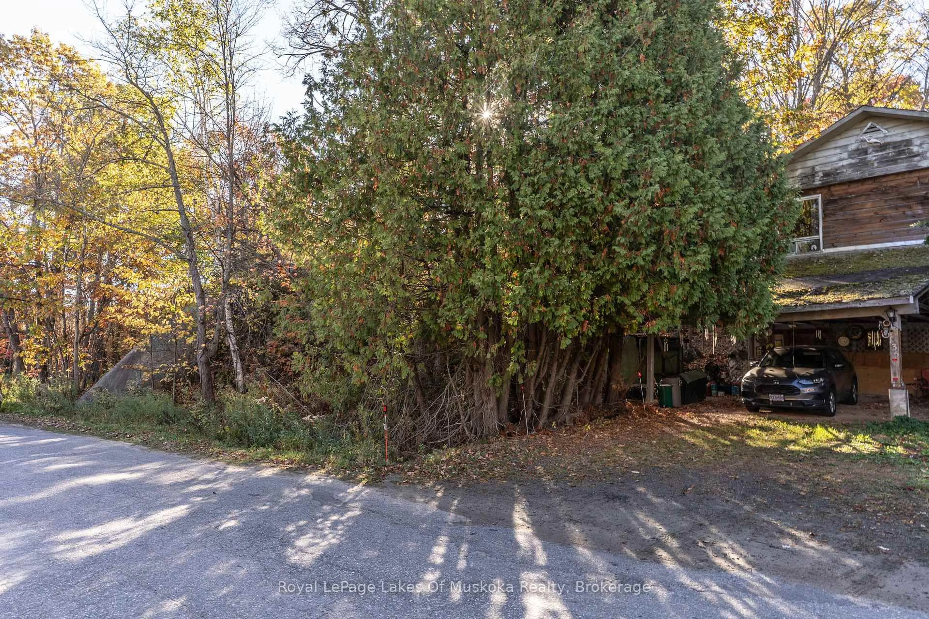 A pic from outside/outdoor area/front of a property/back of a property/a pic from drone, forest/trees view for 135 Musquash Rd, Gravenhurst Ontario P1P 0E3