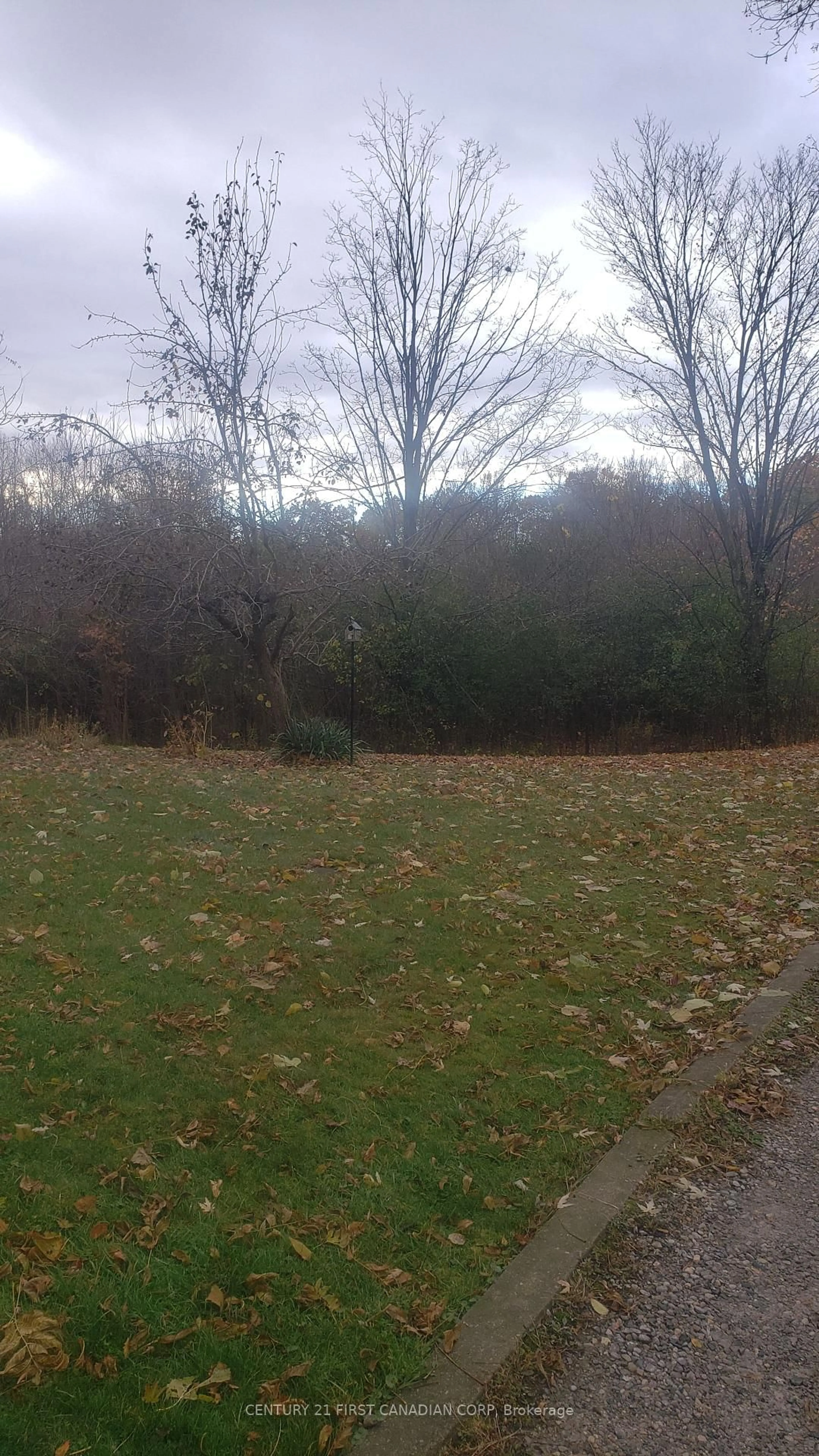 Blurry image for 29 Balfour Pl, London East Ontario N5W 4V7