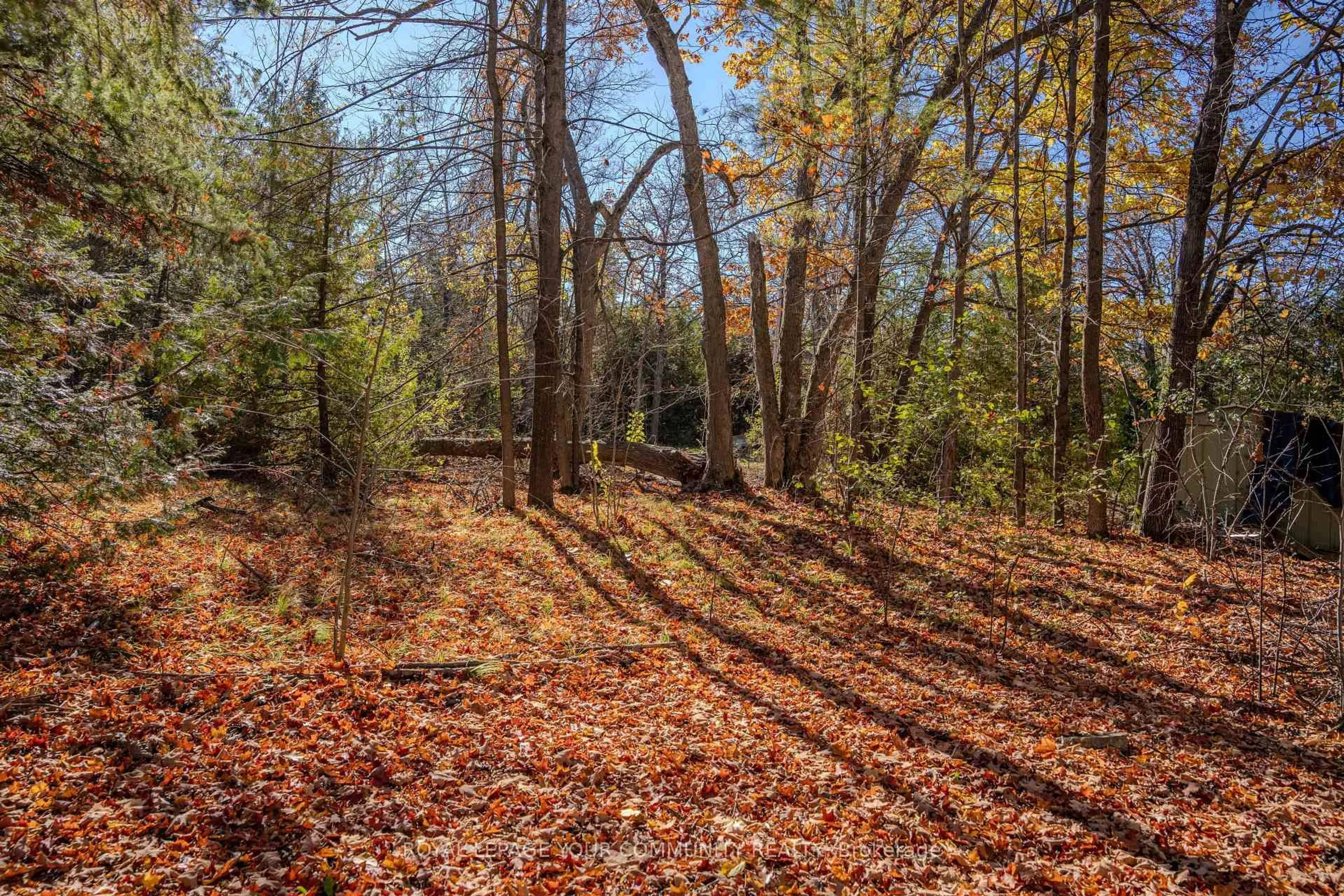 Unknown for 69 Fall's Bay Rd, Kawartha Lakes Ontario K0M 1A0