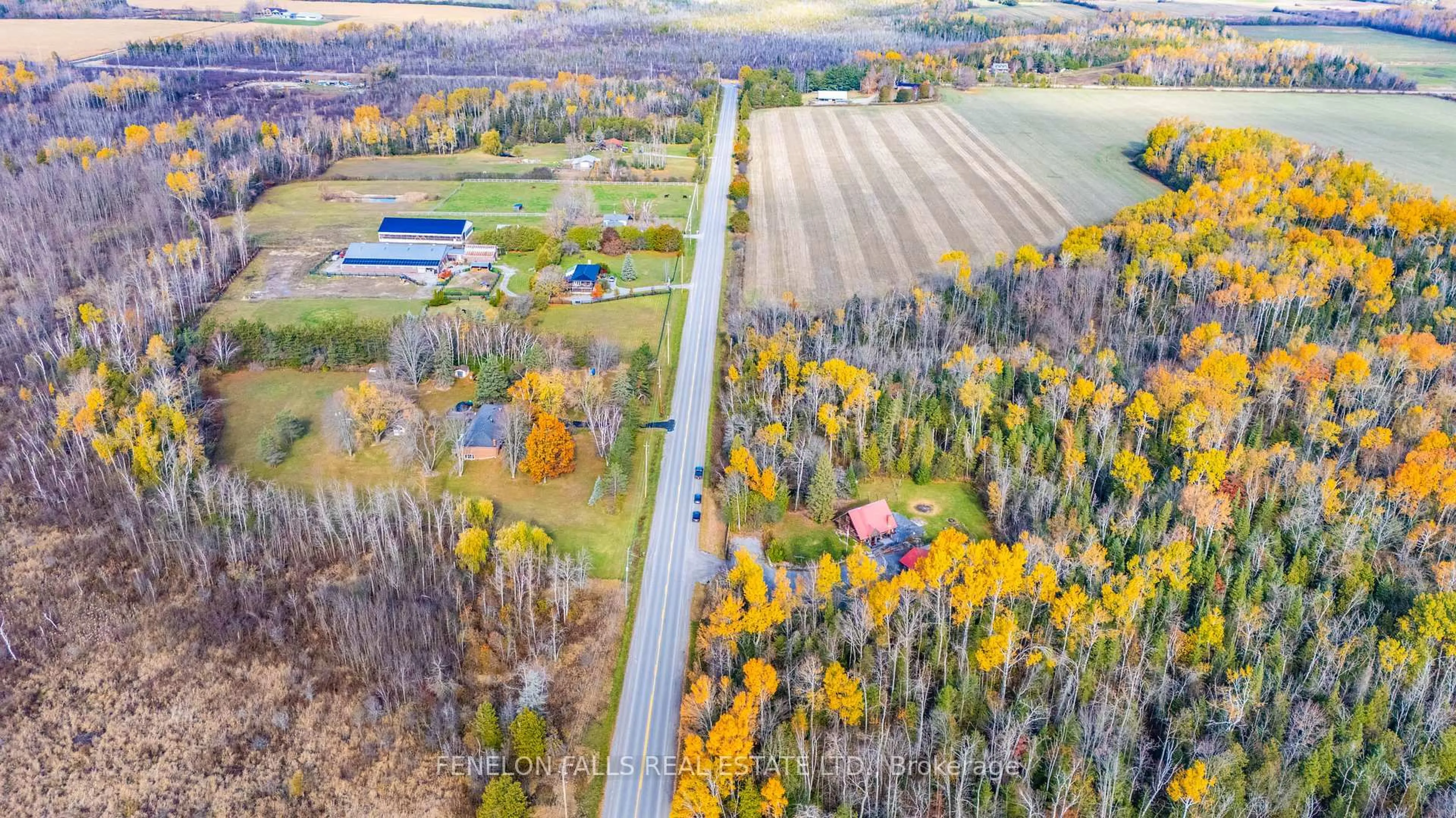 A pic from outside/outdoor area/front of a property/back of a property/a pic from drone, forest/trees view for 348 Ogemah Rd, Kawartha Lakes Ontario K0M 2G0