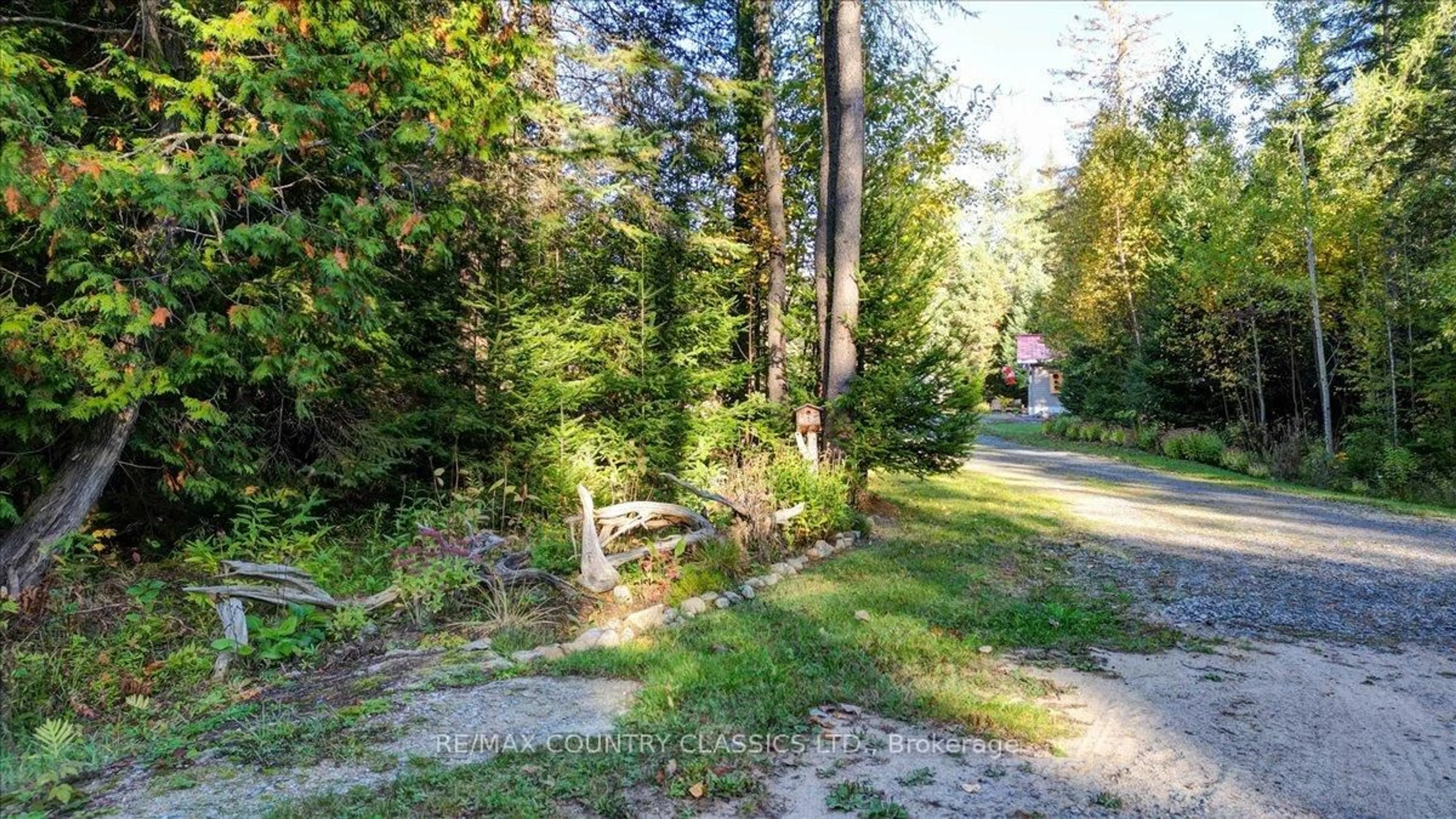 A pic from outside/outdoor area/front of a property/back of a property/a pic from drone, forest/trees view for 1689 Graphite Rd, Maynooth Ontario K0L 2S0
