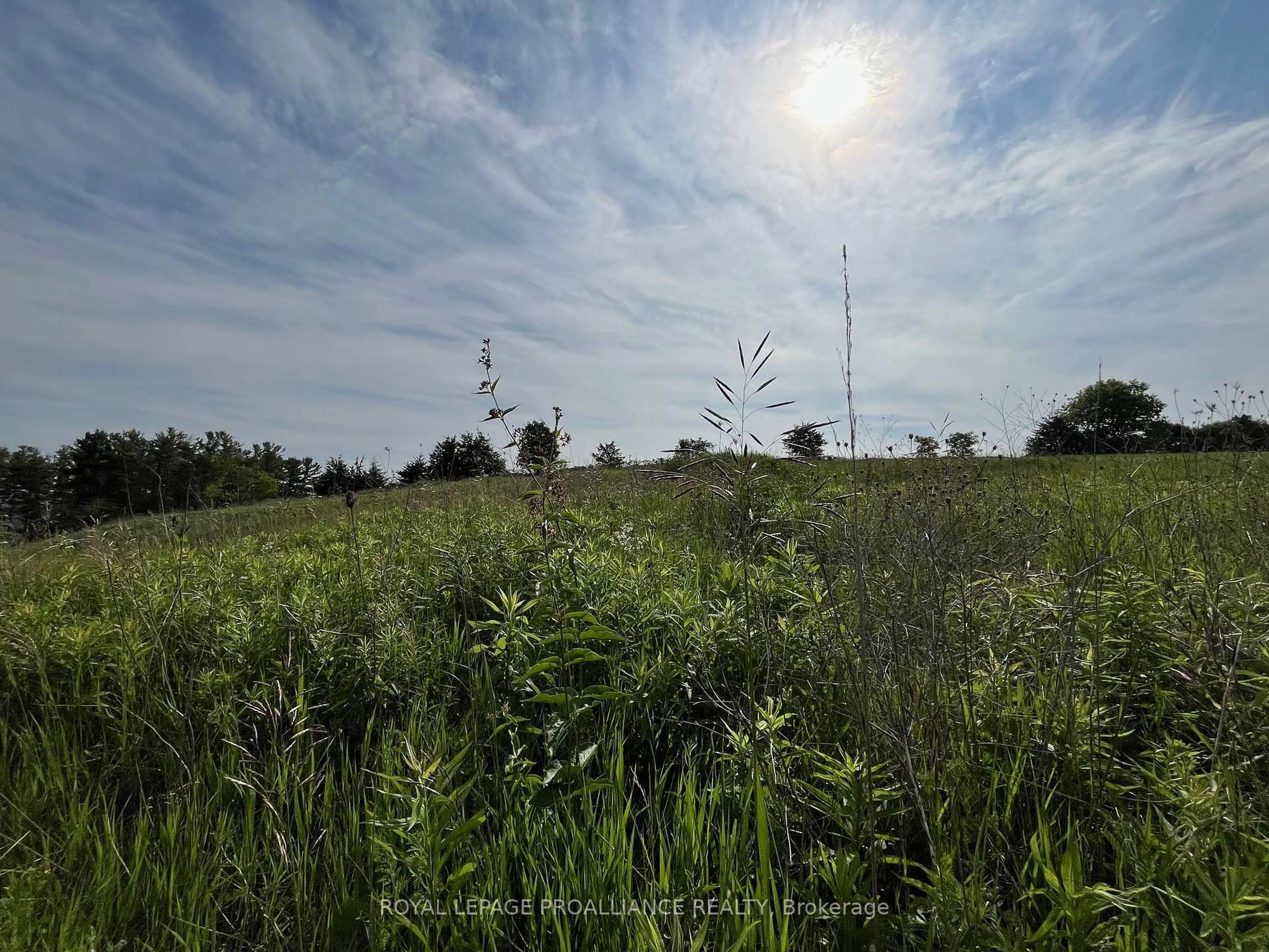 Blurry image for 4836 45 Highway #Lot 3, Hamilton Township Ontario K7G 2V6