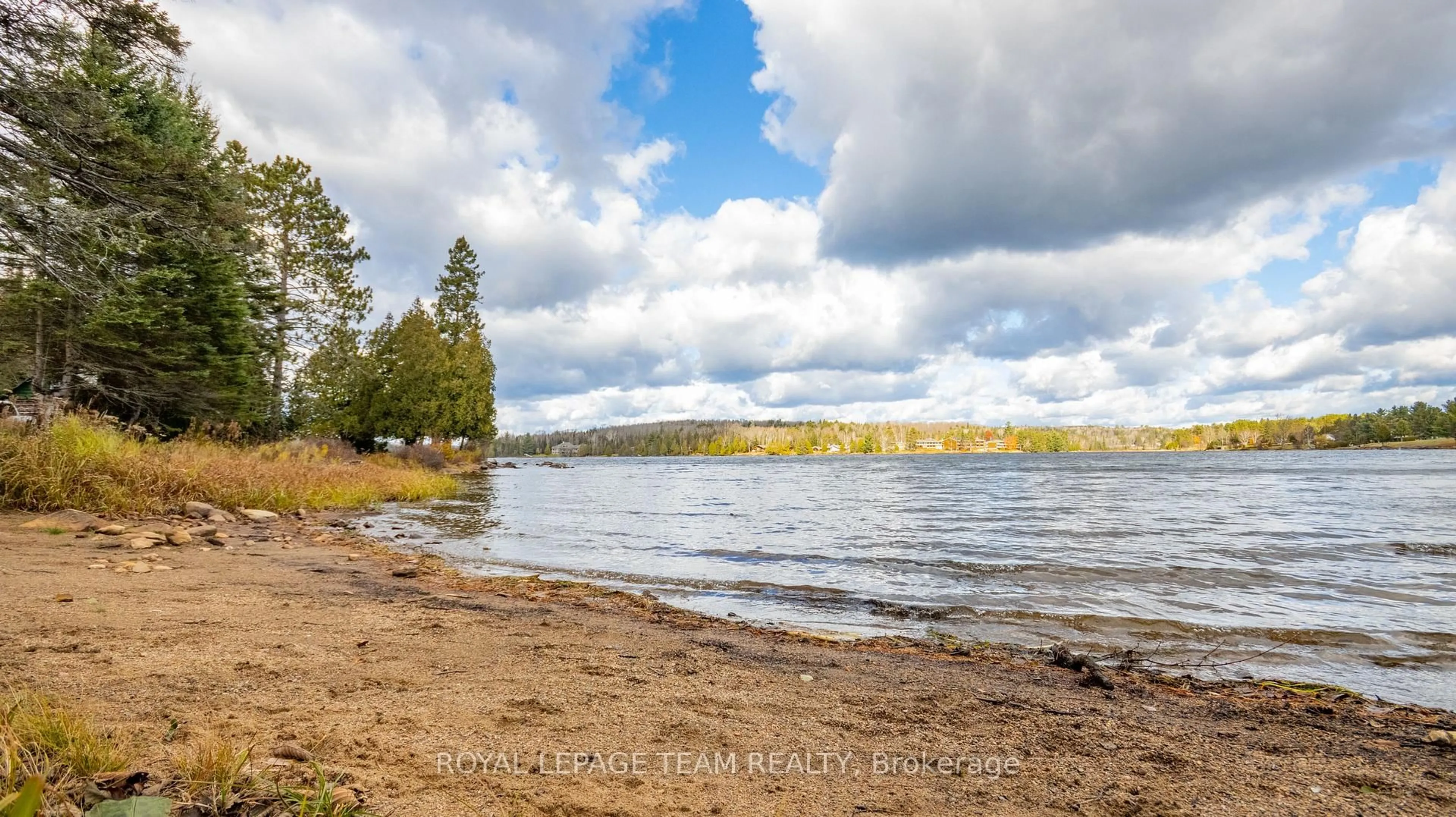 Blurry image for 21 Dave Bowers Lane, South Algonquin Ontario K0J 2M0