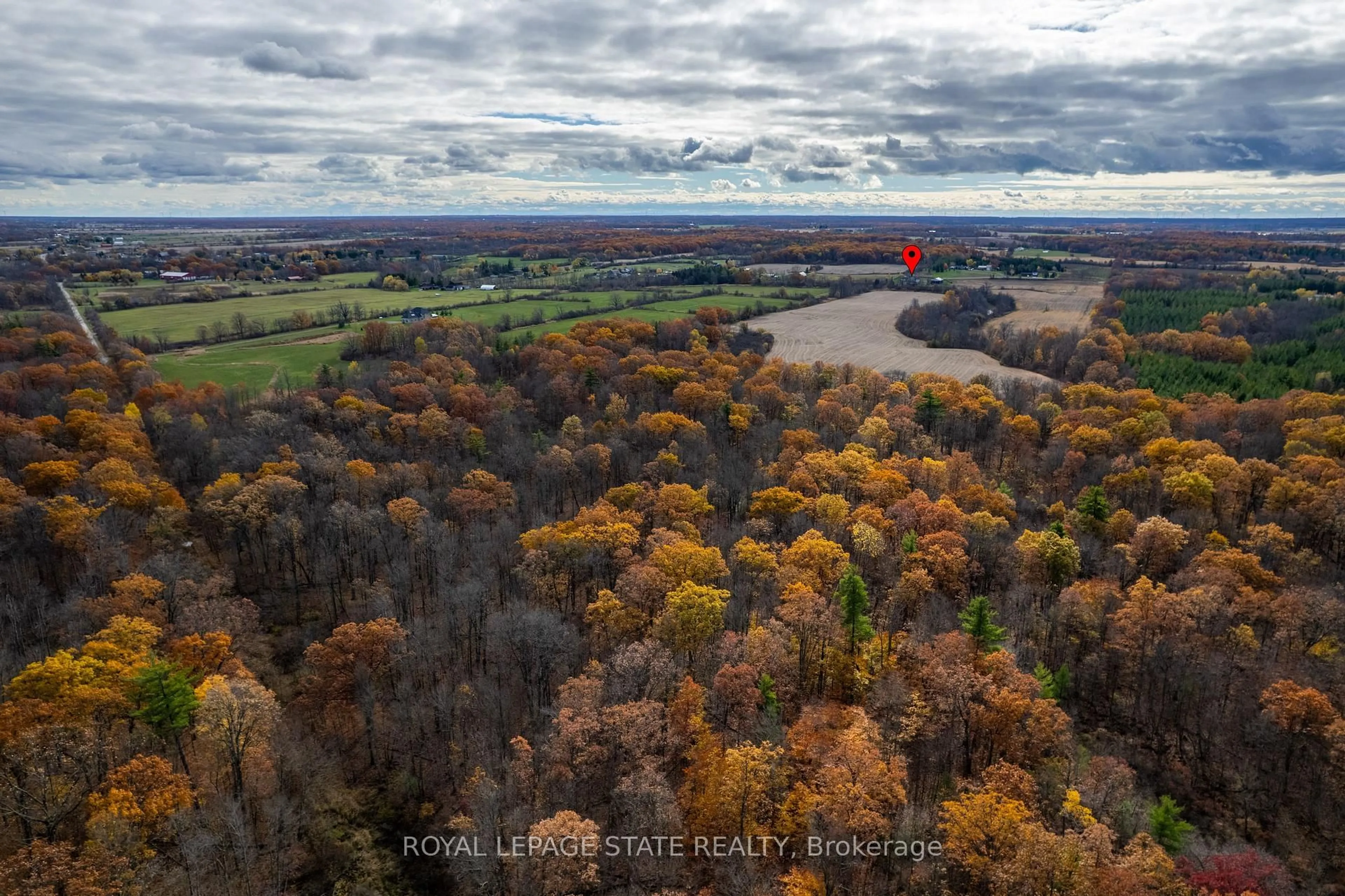 A pic from outside/outdoor area/front of a property/back of a property/a pic from drone, forest/trees view for 9729 York Rd, West Lincoln Ontario L0R 1E0