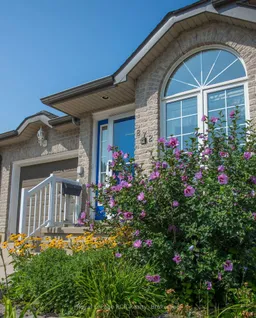 history photo preview