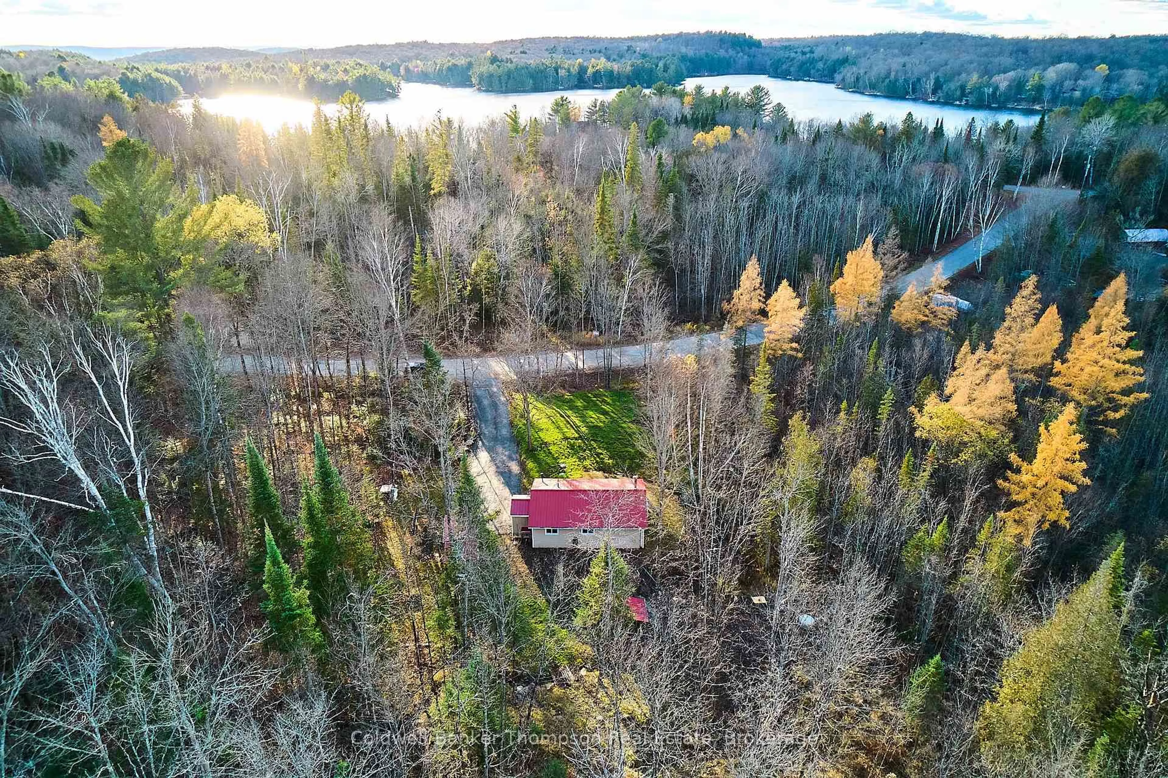 A pic from outside/outdoor area/front of a property/back of a property/a pic from drone, forest/trees view for 1022 Upper Walker Lake Rd, Lake of Bays Ontario P1H 2J6