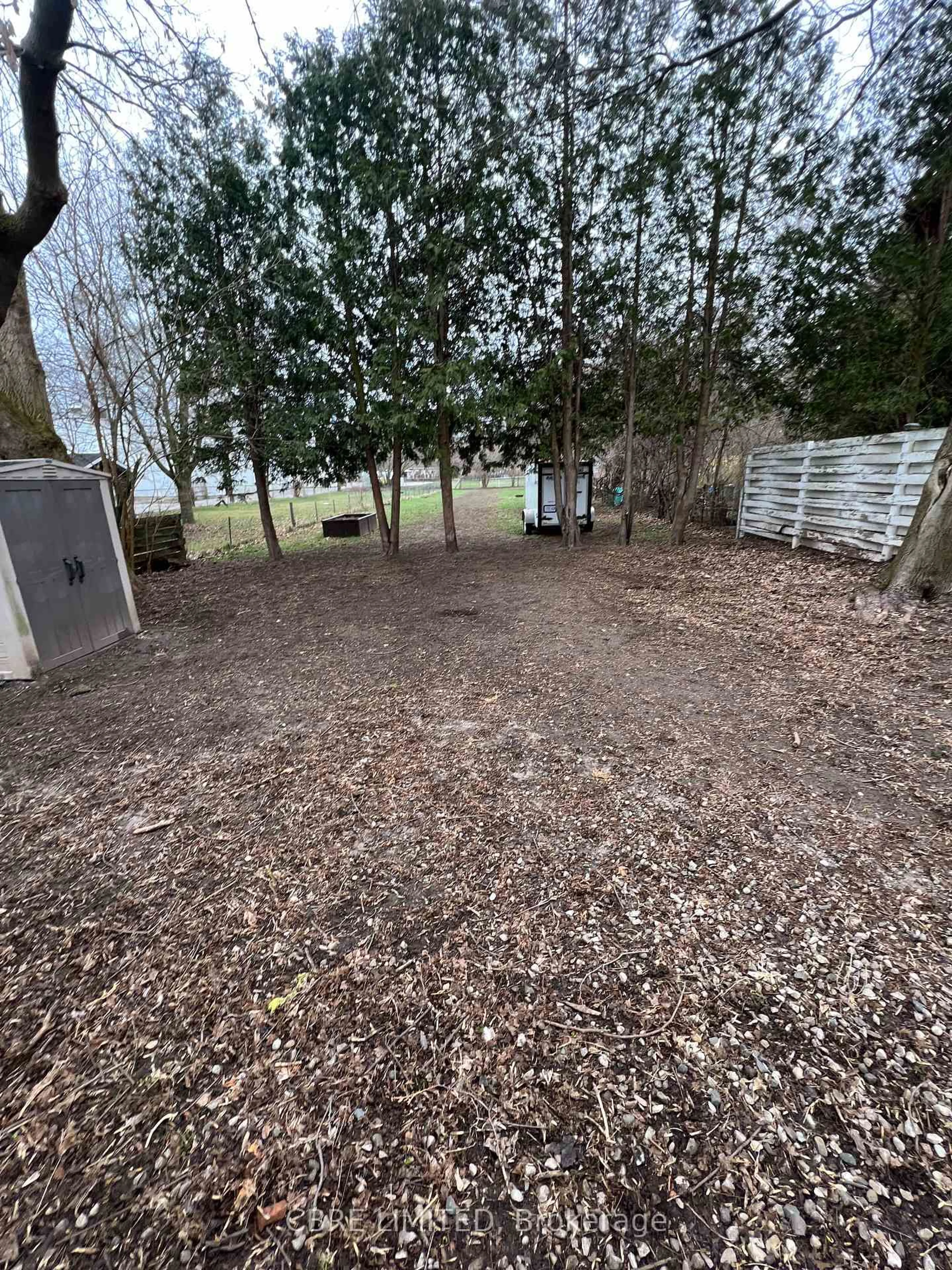 A pic from outside/outdoor area/front of a property/back of a property/a pic from drone, forest/trees view for 153 Hale St, London East Ontario N5W 1E5