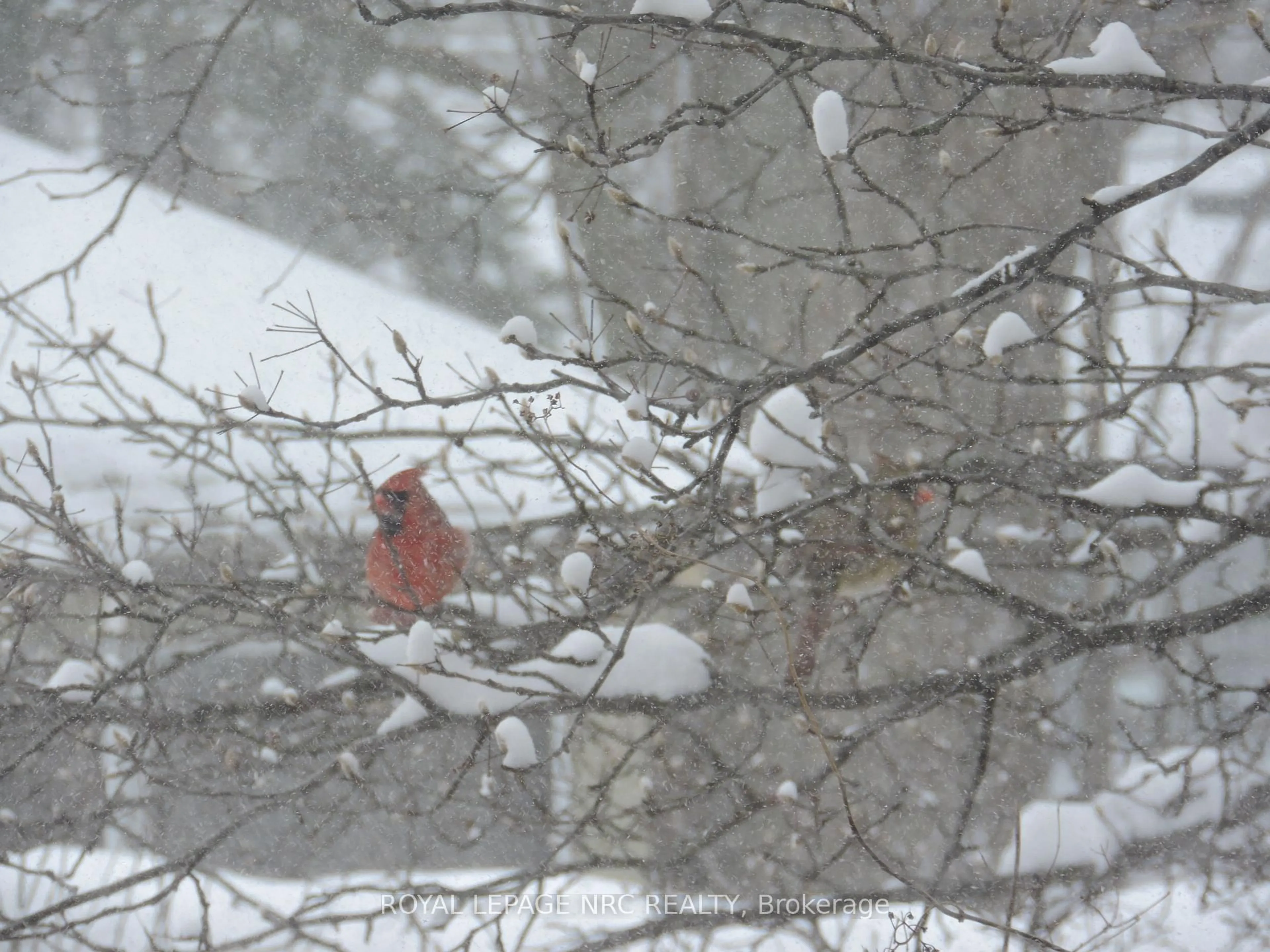 Blurry image for 340 Oxford Ave, Fort Erie Ontario L0S 1B0