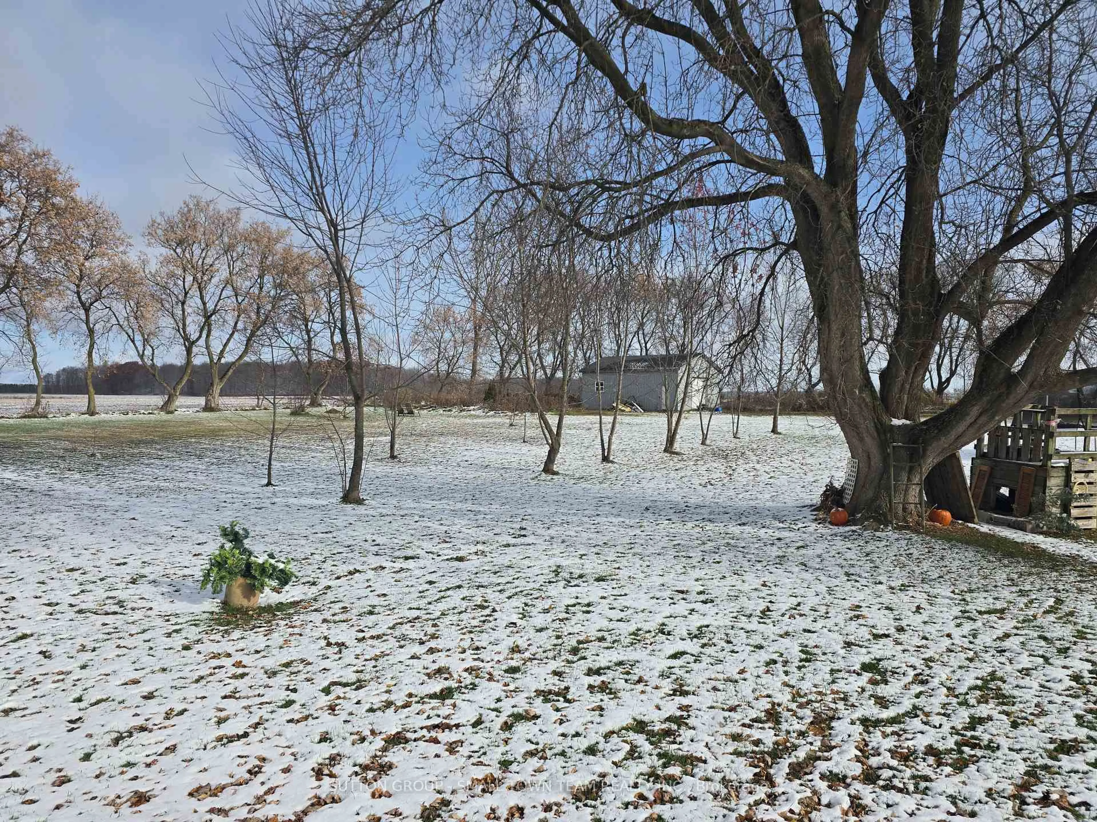 Patio, forest/trees view for 69228 Corbett Line, South Huron Ontario N0M 1N0