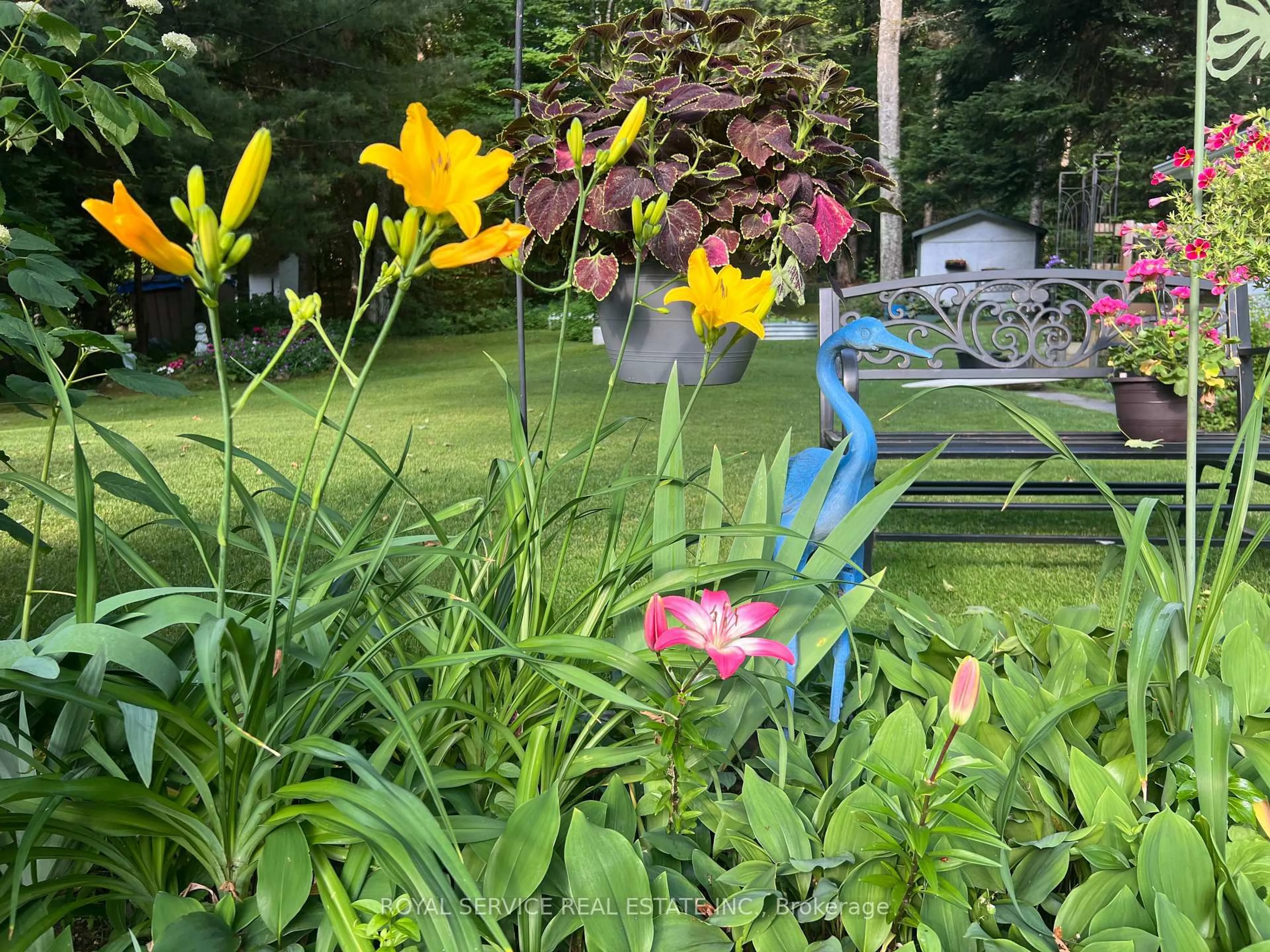 Unknown for 1039 Grace River Rd, Highlands East Ontario K0L 3C0