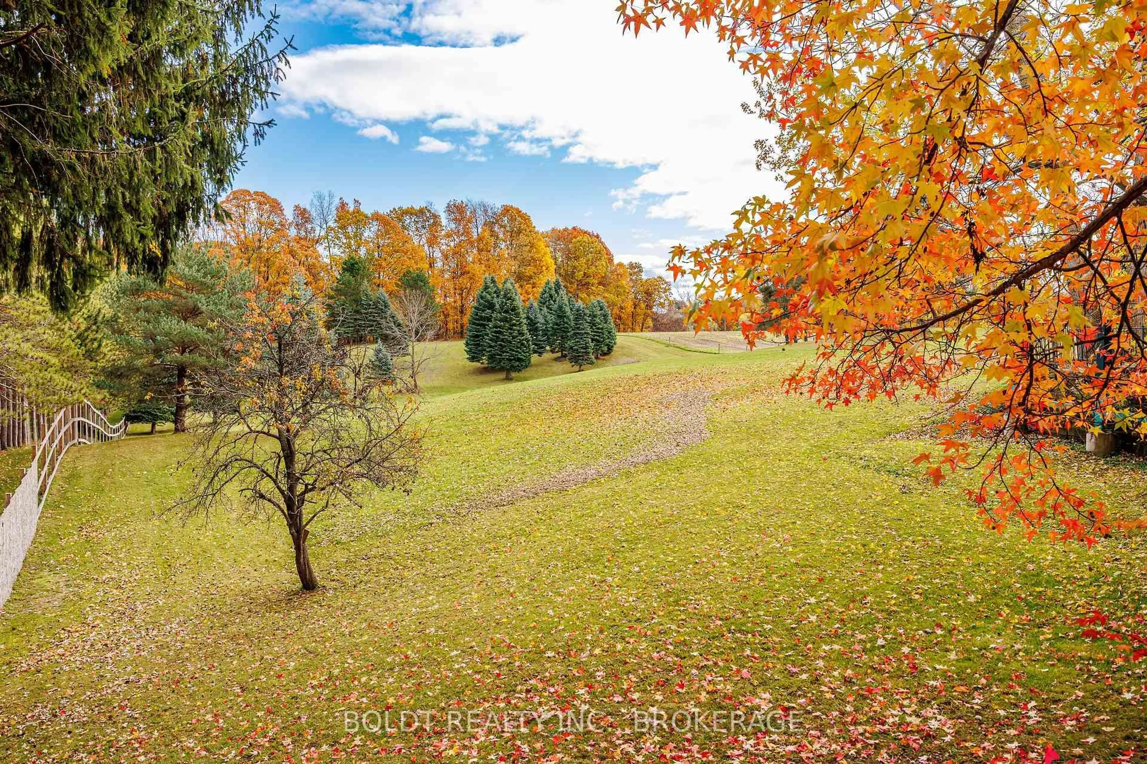 A pic from outside/outdoor area/front of a property/back of a property/a pic from drone, forest/trees view for 2010 Hansler St, Pelham Ontario L0S 1M0