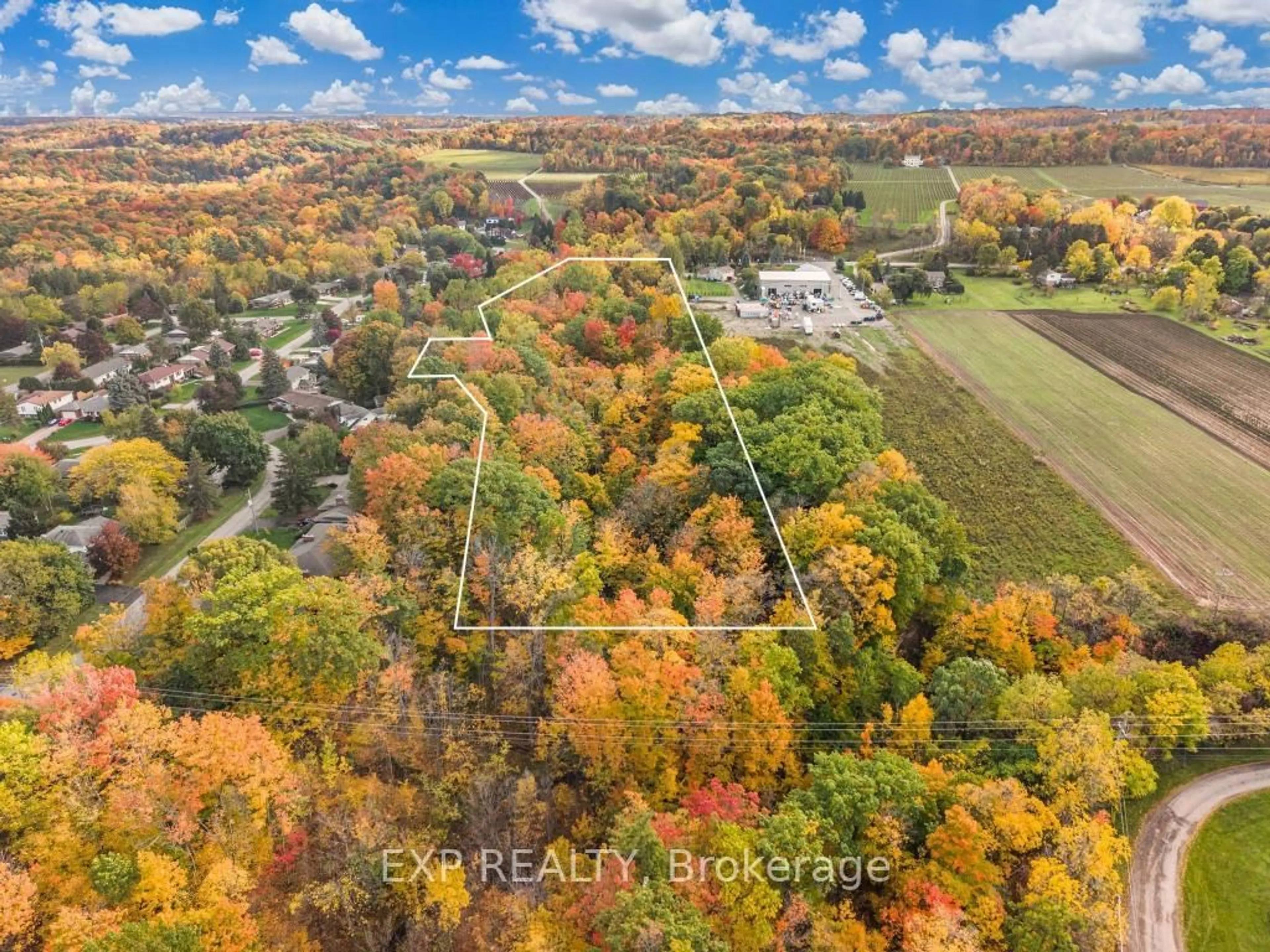 A pic from outside/outdoor area/front of a property/back of a property/a pic from drone, forest/trees view for 3169 King St, Lincoln Ontario L0R 2C0