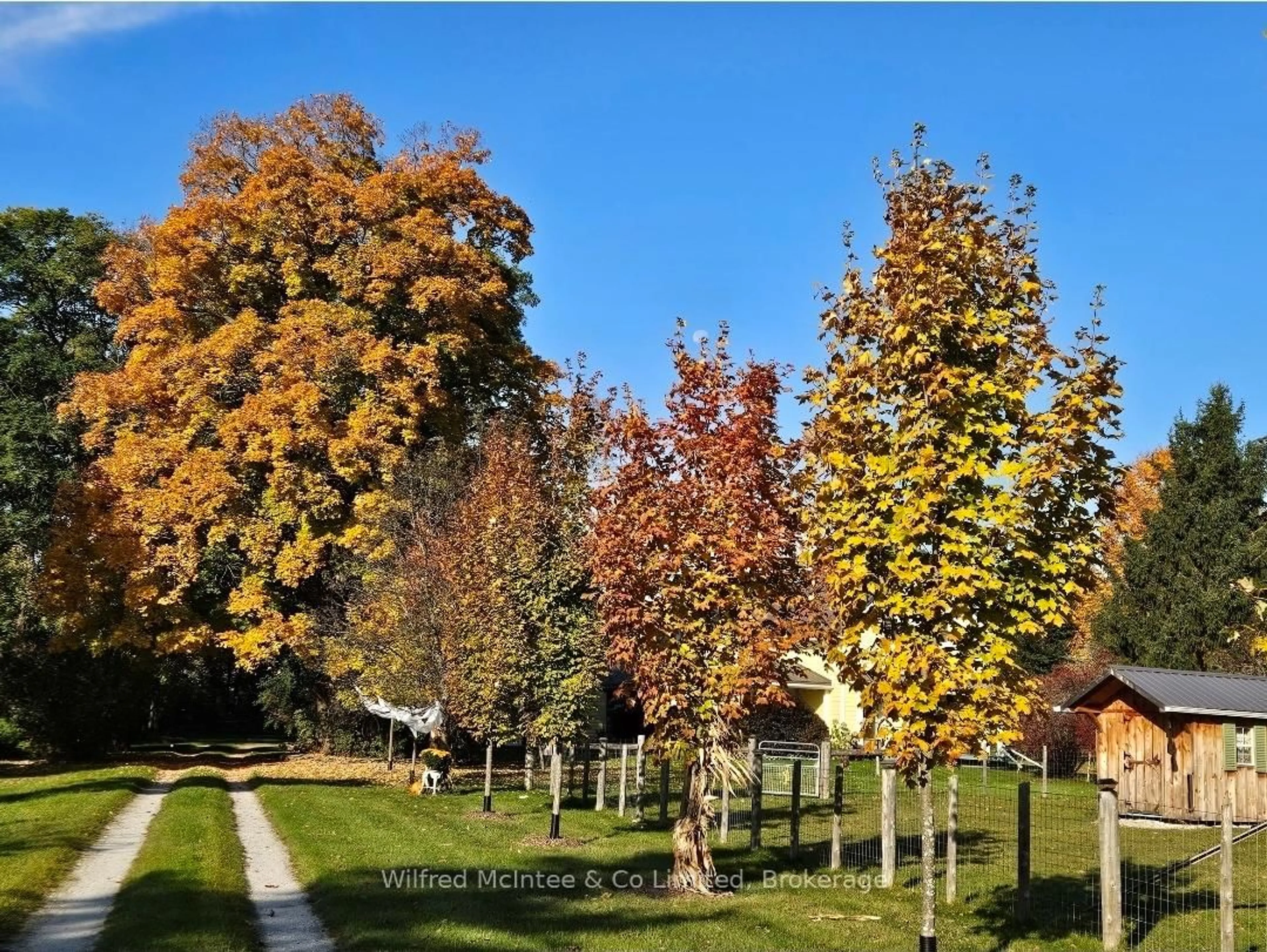 A pic from outside/outdoor area/front of a property/back of a property/a pic from drone, forest/trees view for 318840 Grey Rd 1, Georgian Bluffs Ontario N4K 5N4