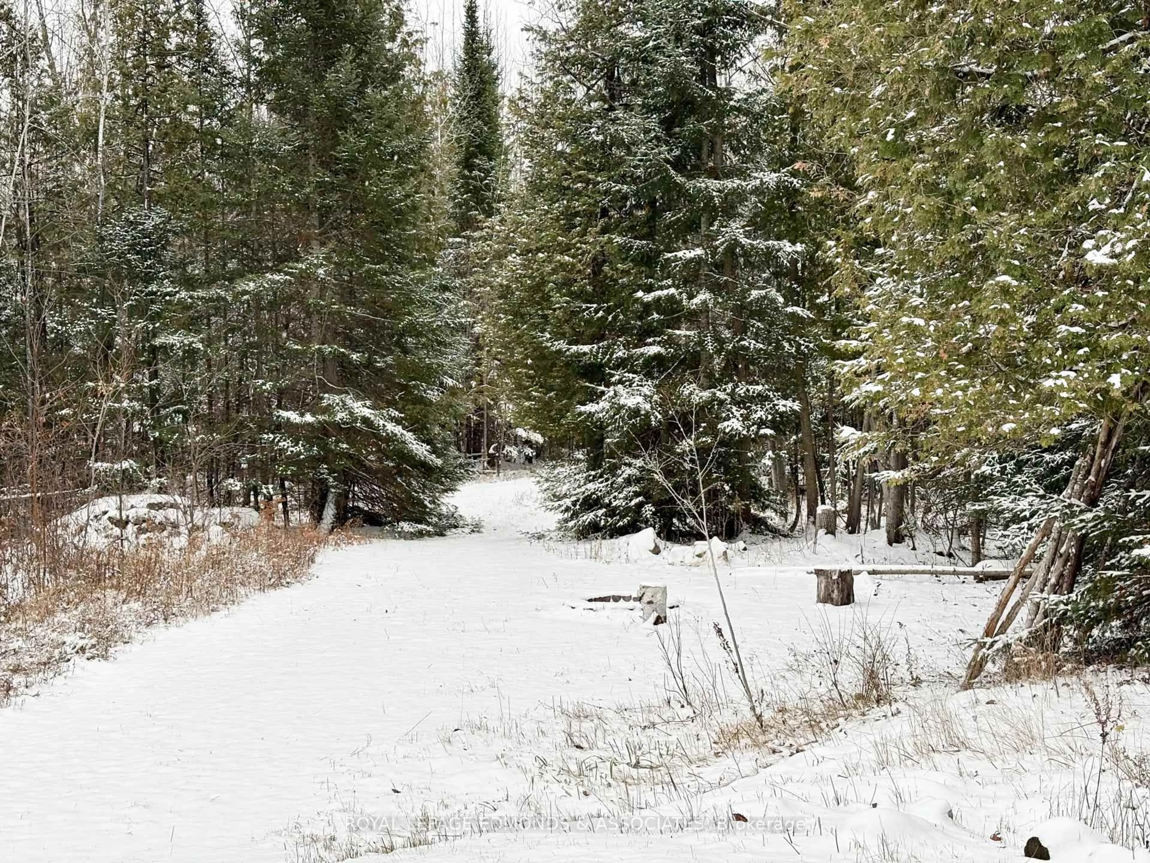 Blurry image for 418 Forest Park Rd, Pembroke Ontario K8A 6W2