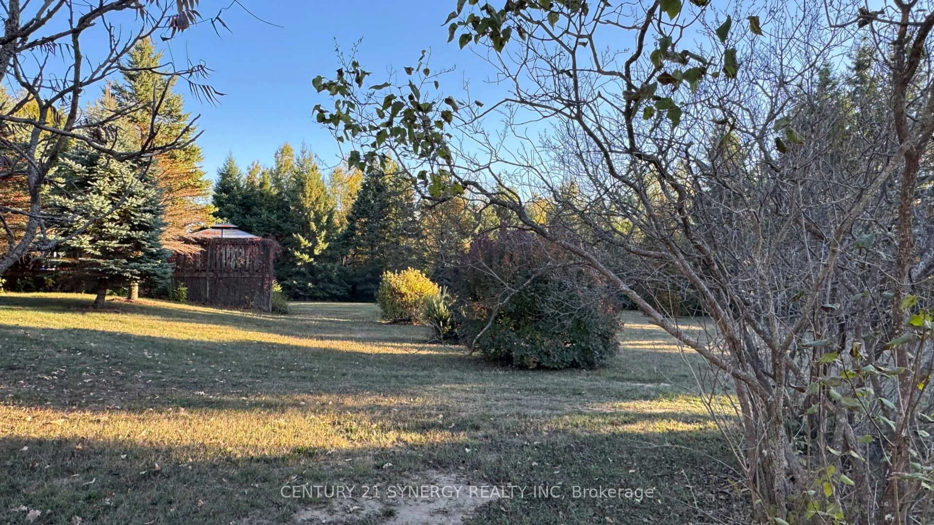 A pic from outside/outdoor area/front of a property/back of a property/a pic from drone, forest/trees view for 3042 Dangerfield Rd, North Grenville Ontario K0G 1J0