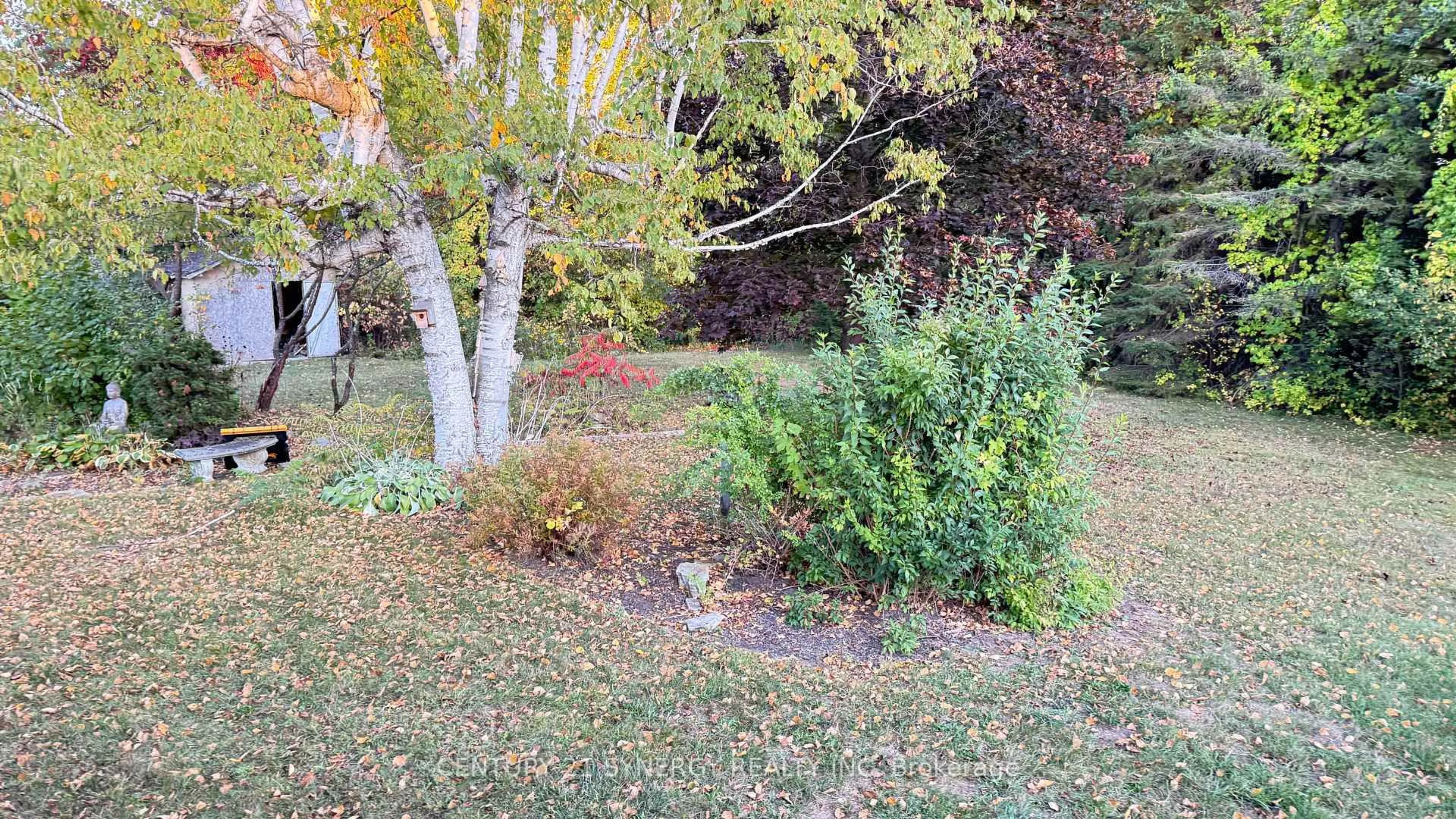 A pic from outside/outdoor area/front of a property/back of a property/a pic from drone, forest/trees view for 3042 Dangerfield Rd, North Grenville Ontario K0G 1J0